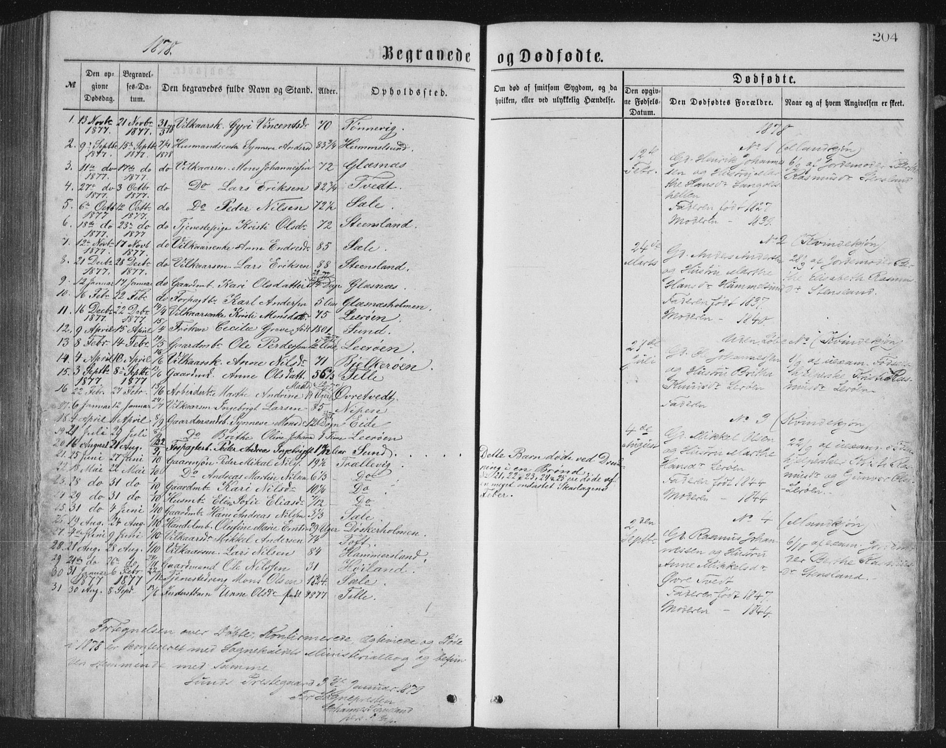 Sund sokneprestembete, SAB/A-99930: Parish register (copy) no. B 2, 1874-1881, p. 204