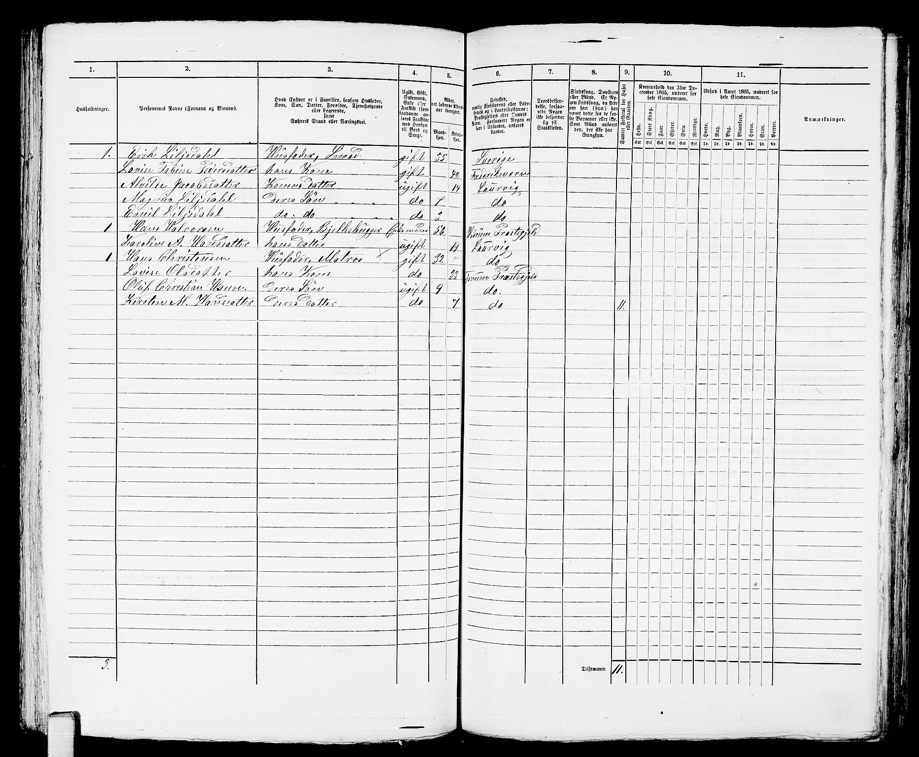 RA, 1865 census for Larvik, 1865, p. 376