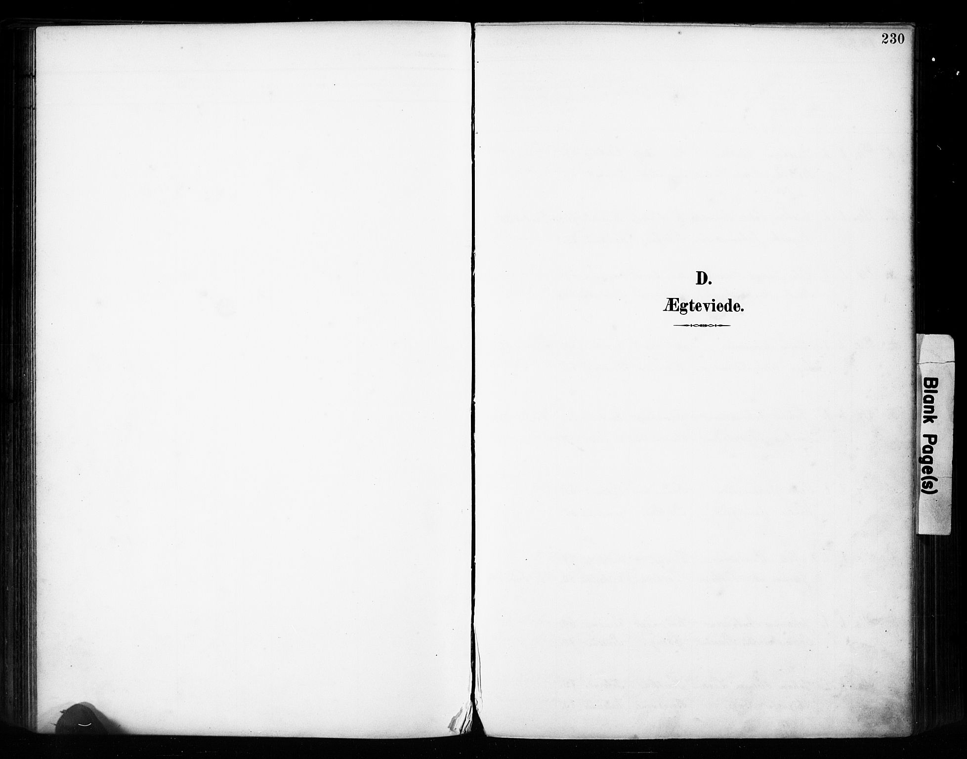 Vestre Toten prestekontor, SAH/PREST-108/H/Ha/Haa/L0011: Parish register (official) no. 11, 1895-1906, p. 230