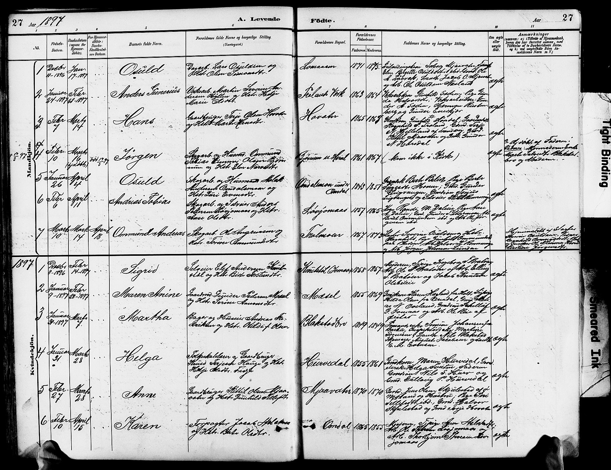 Froland sokneprestkontor, SAK/1111-0013/F/Fb/L0010: Parish register (copy) no. B 10, 1893-1920, p. 27
