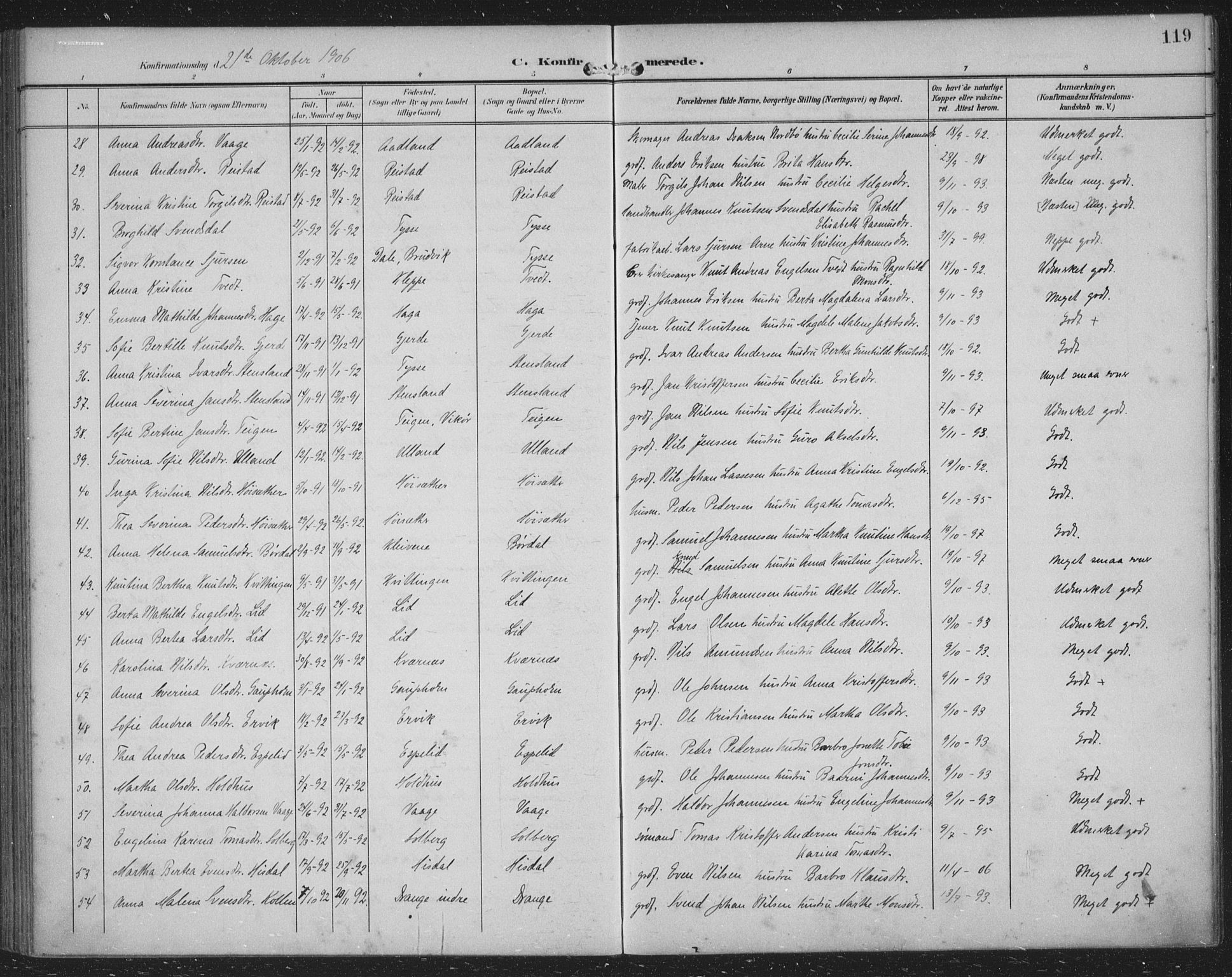 Samnanger Sokneprestembete, SAB/A-77501/H/Haa: Parish register (official) no. A 2, 1902-1918, p. 119