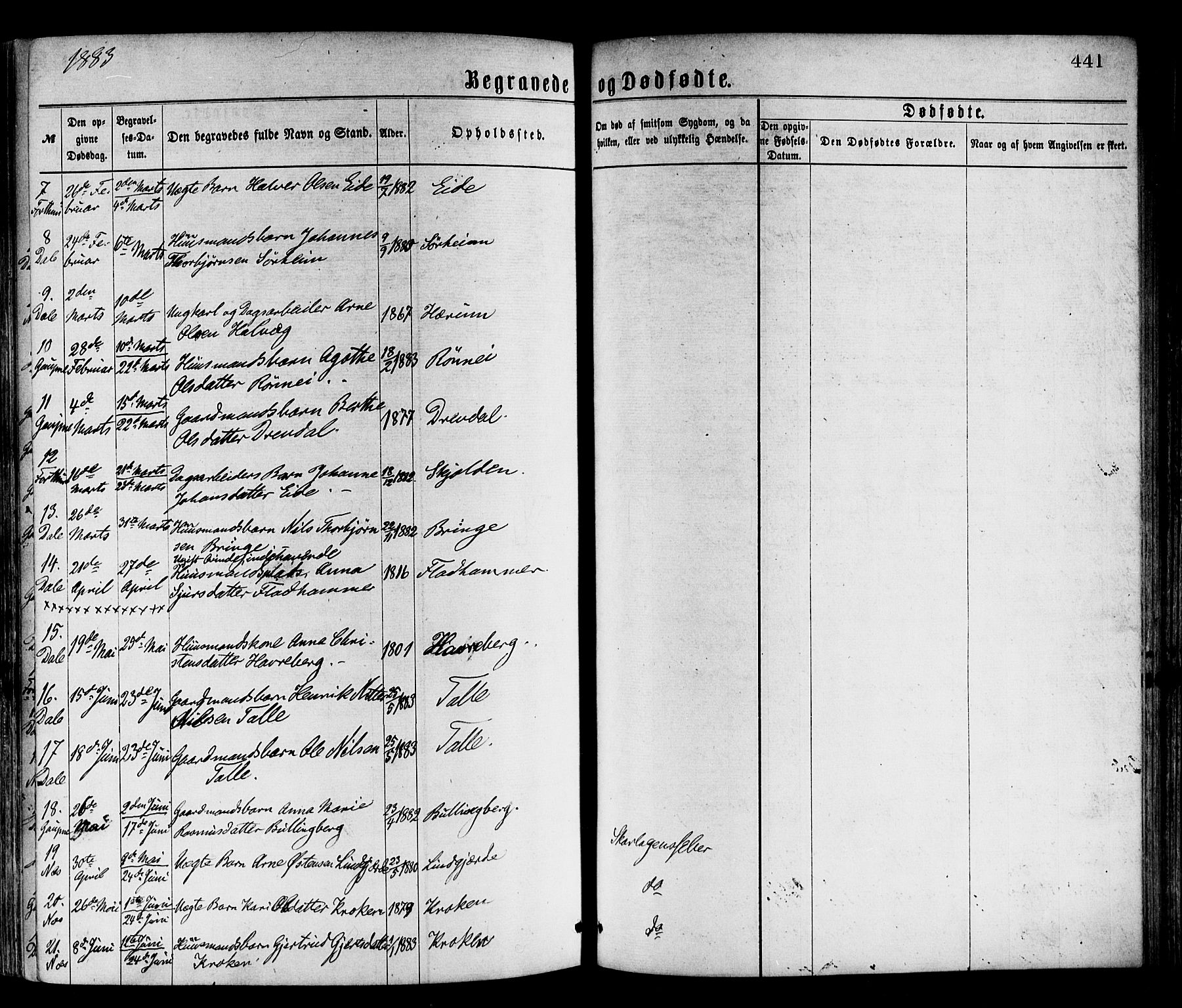 Luster sokneprestembete, SAB/A-81101/H/Haa/Haaa/L0010: Parish register (official) no. A 10, 1871-1886, p. 441
