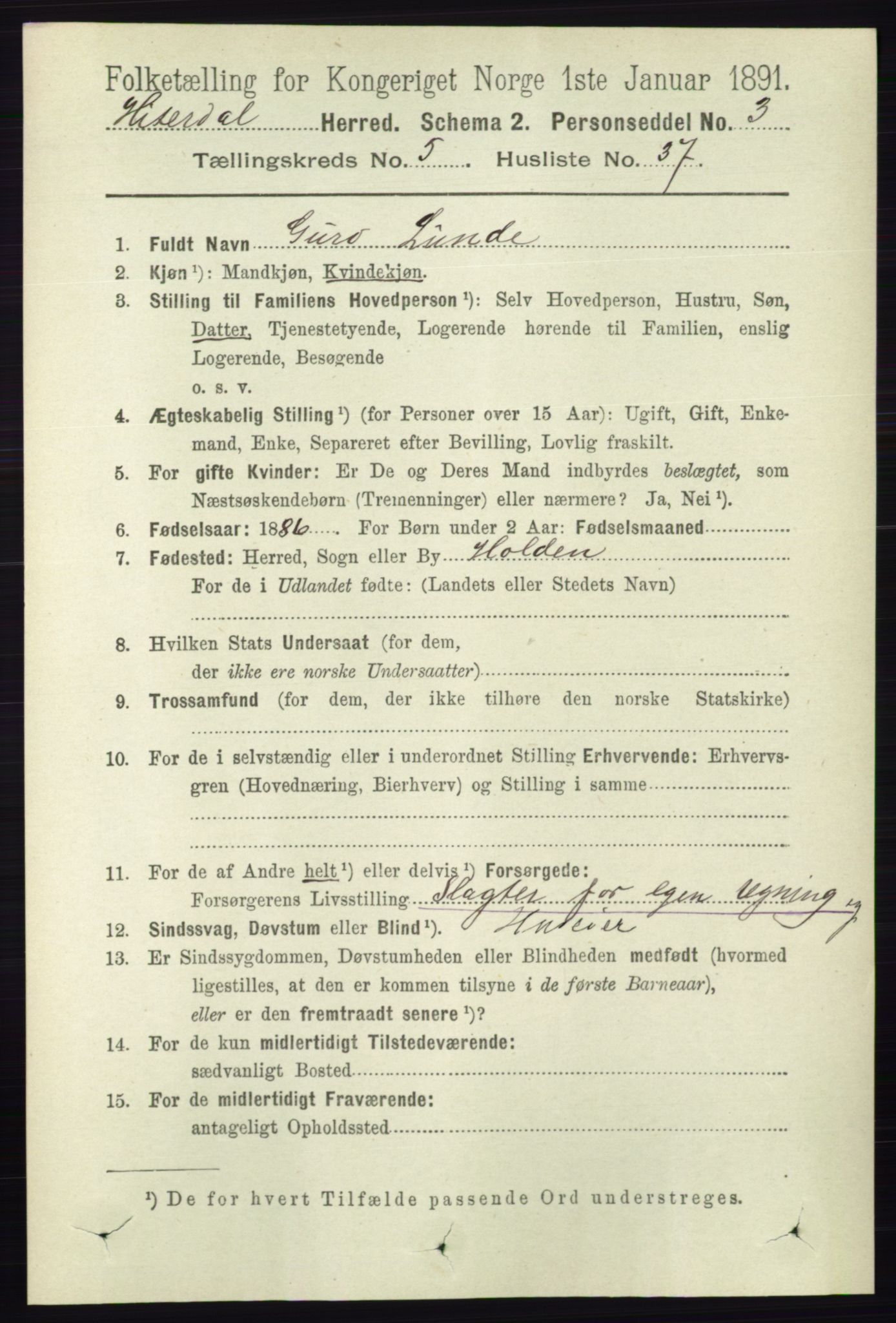 RA, 1891 census for 0823 Heddal, 1891, p. 2244