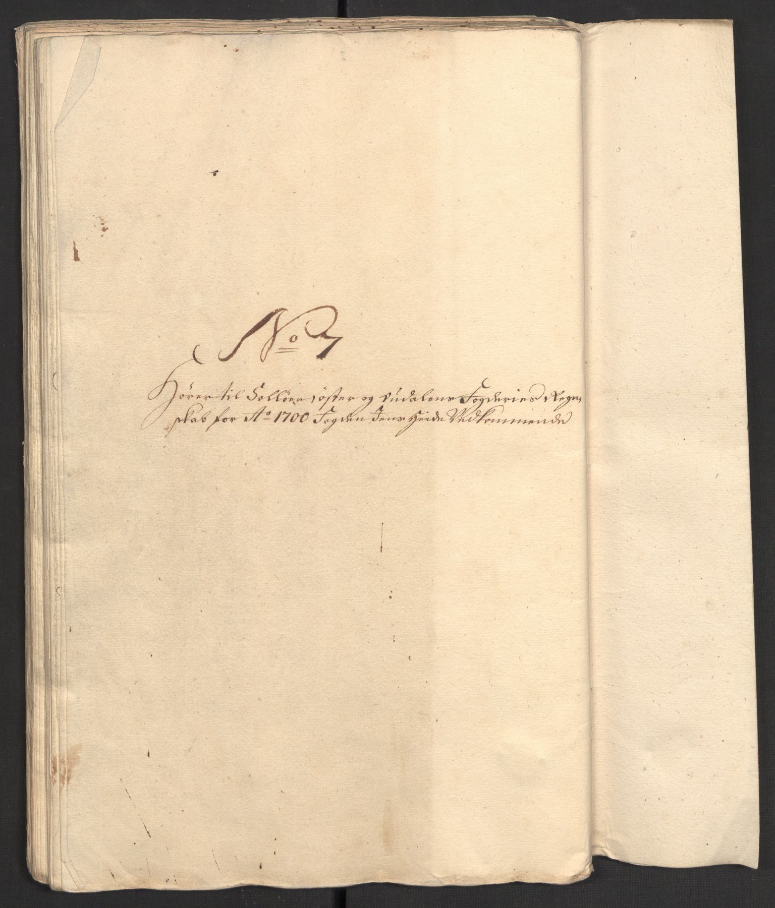 Rentekammeret inntil 1814, Reviderte regnskaper, Fogderegnskap, AV/RA-EA-4092/R13/L0838: Fogderegnskap Solør, Odal og Østerdal, 1700, p. 171