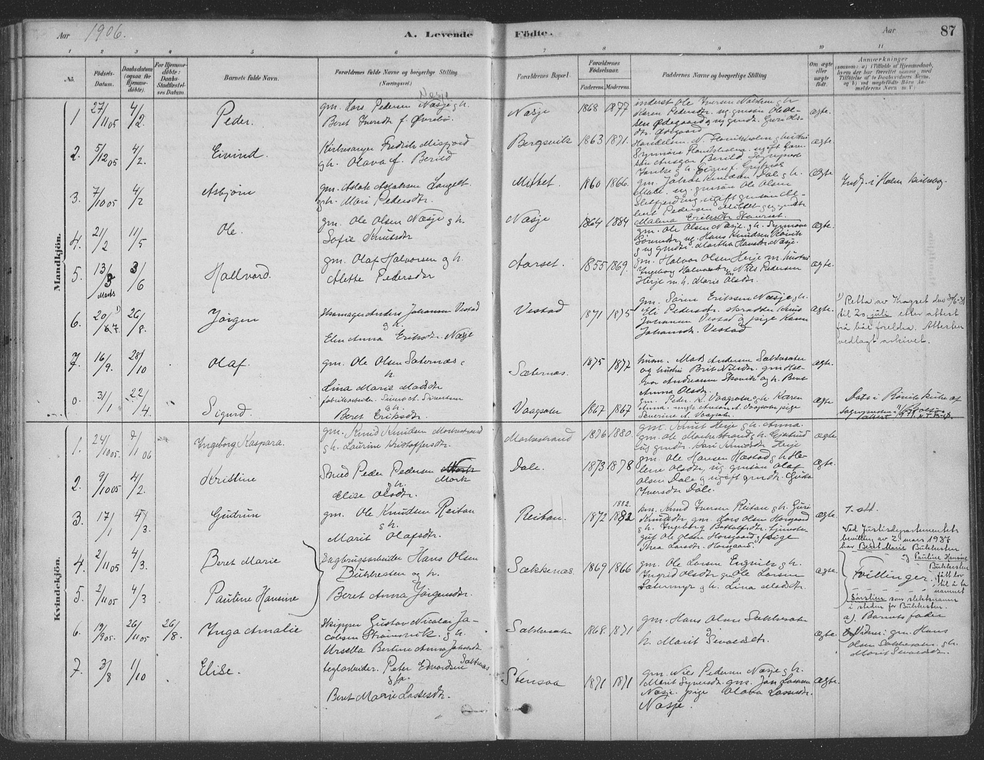 Ministerialprotokoller, klokkerbøker og fødselsregistre - Møre og Romsdal, SAT/A-1454/547/L0604: Parish register (official) no. 547A06, 1878-1906, p. 87