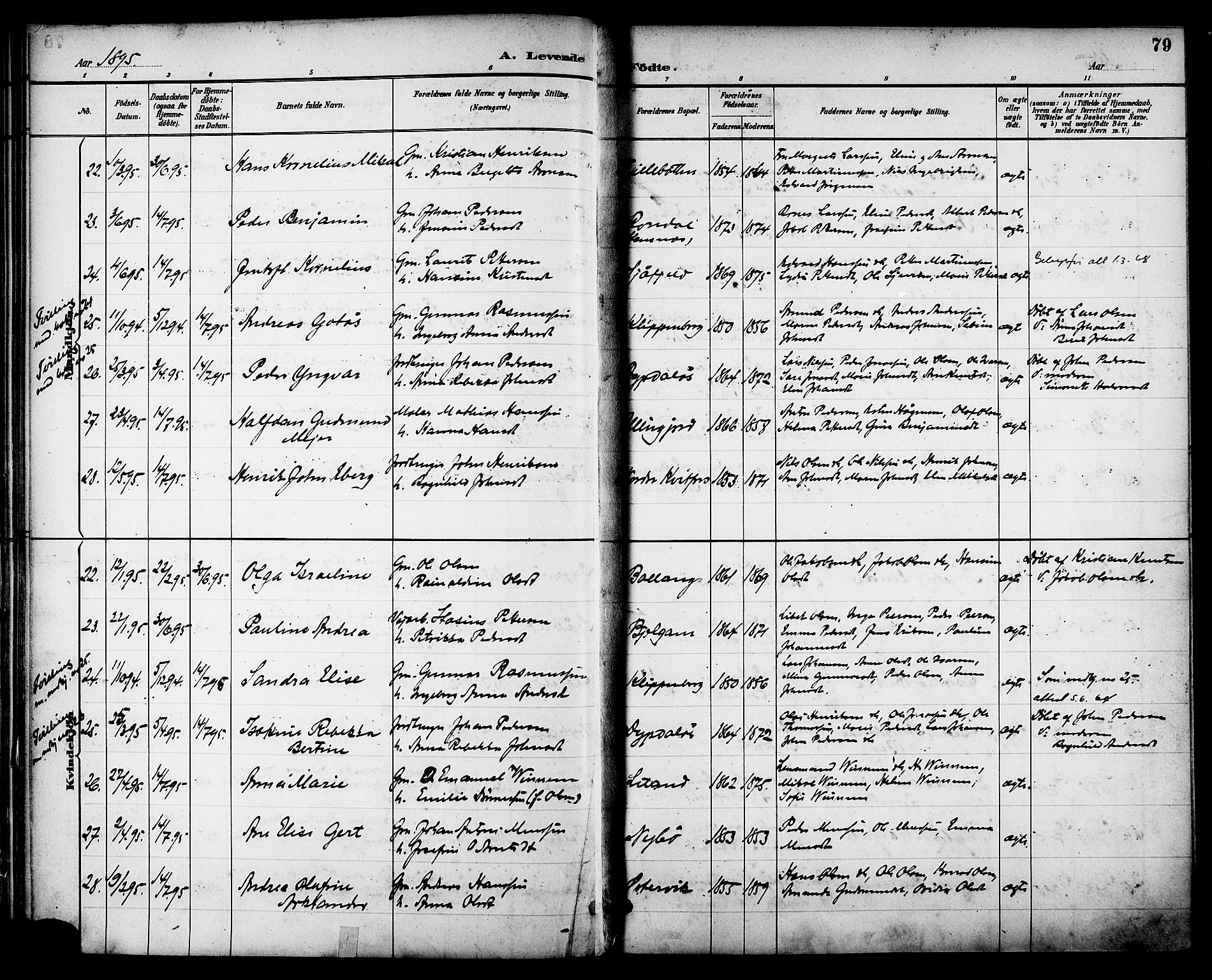 Ministerialprotokoller, klokkerbøker og fødselsregistre - Nordland, AV/SAT-A-1459/863/L0898: Parish register (official) no. 863A10, 1886-1897, p. 79