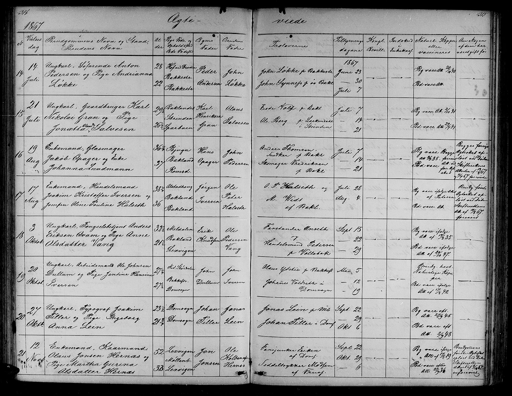 Ministerialprotokoller, klokkerbøker og fødselsregistre - Sør-Trøndelag, SAT/A-1456/604/L0219: Parish register (copy) no. 604C02, 1851-1869, p. 314-315