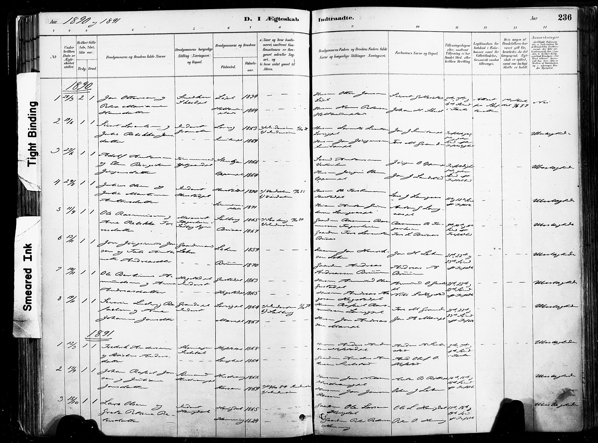 Ministerialprotokoller, klokkerbøker og fødselsregistre - Nord-Trøndelag, SAT/A-1458/735/L0351: Parish register (official) no. 735A10, 1884-1908, p. 236