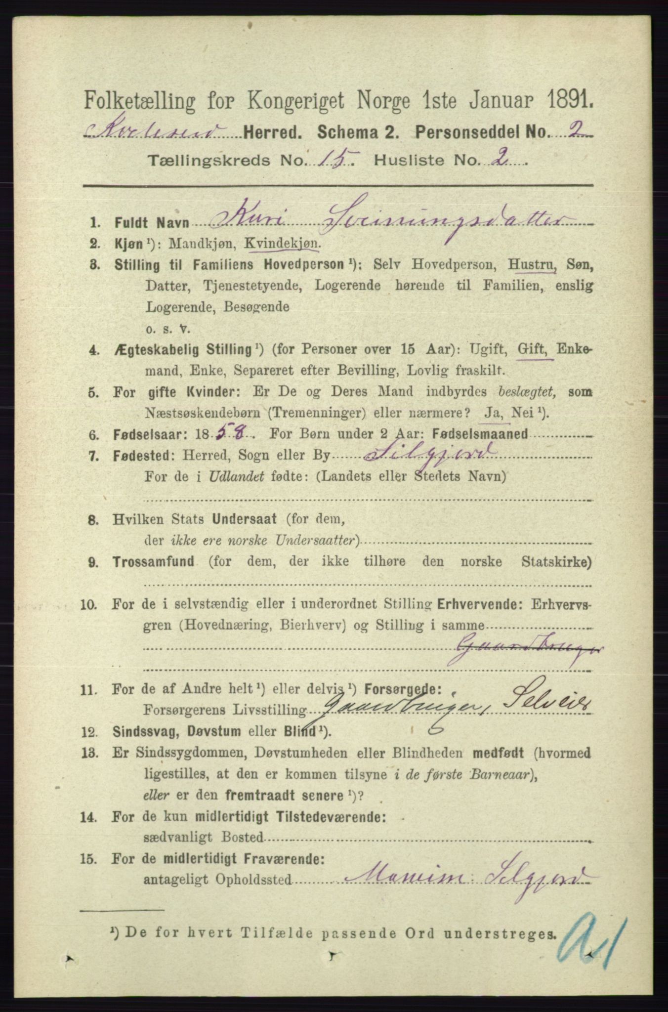 RA, 1891 census for 0829 Kviteseid, 1891, p. 3527