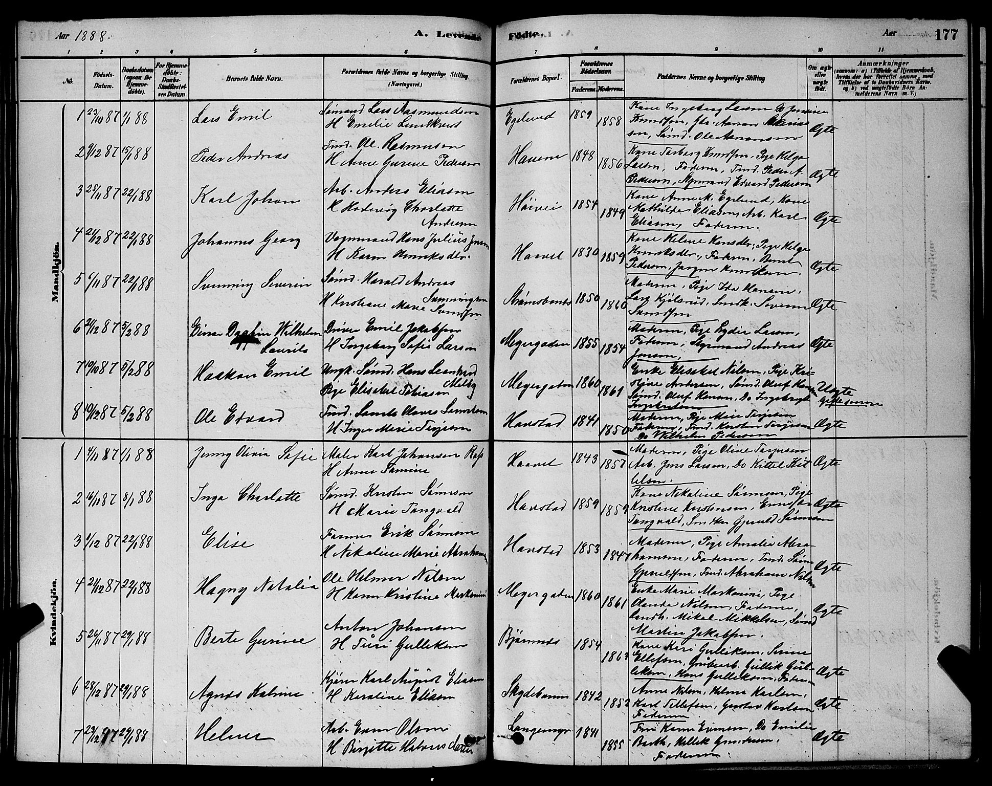 Barbu sokneprestkontor, AV/SAK-1111-0003/F/Fb/L0001: Parish register (copy) no. B 1, 1878-1890, p. 177