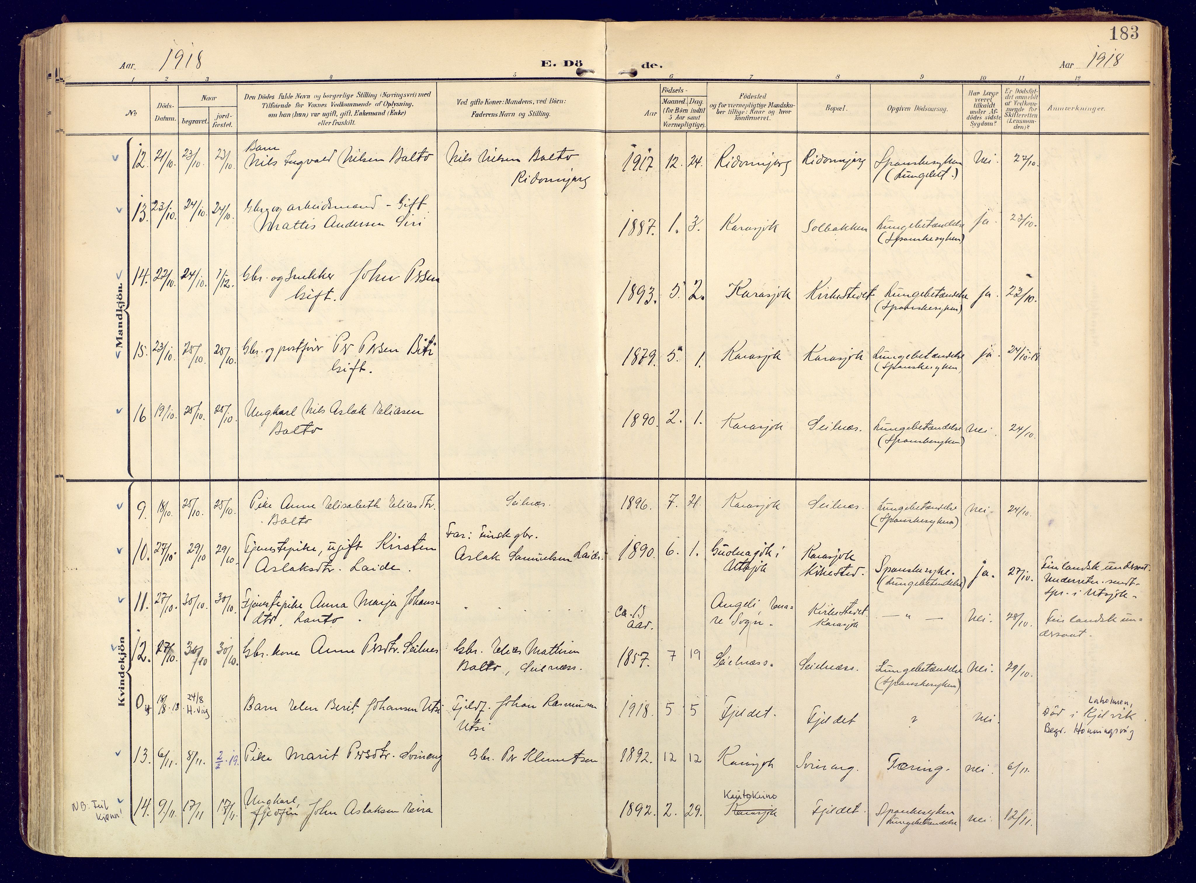 Karasjok sokneprestkontor, AV/SATØ-S-1352/H/Ha: Parish register (official) no. 3, 1907-1926, p. 183