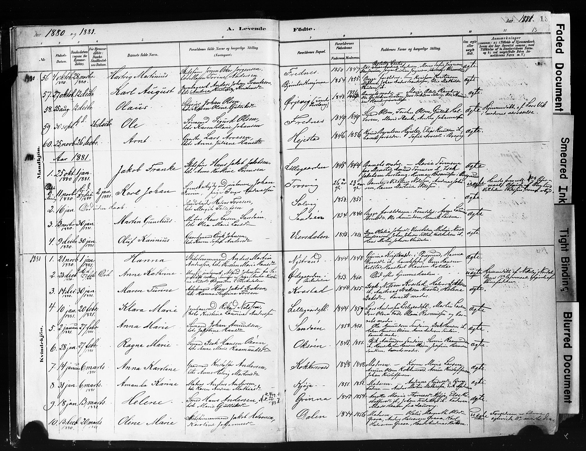 Eidanger kirkebøker, SAKO/A-261/F/Fa/L0012: Parish register (official) no. 12, 1879-1900, p. 13