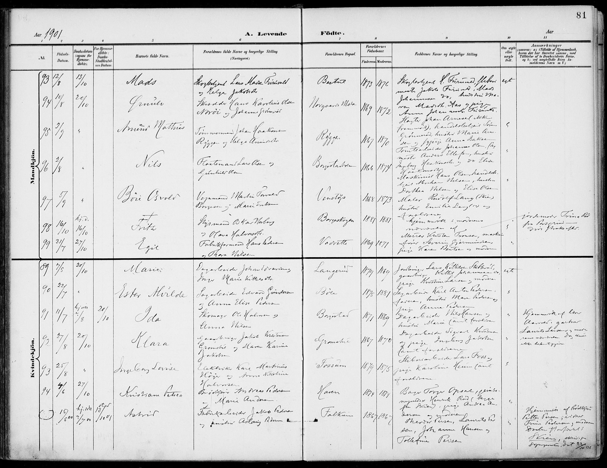 Gjerpen kirkebøker, AV/SAKO-A-265/F/Fa/L0011: Parish register (official) no. I 11, 1896-1904, p. 81