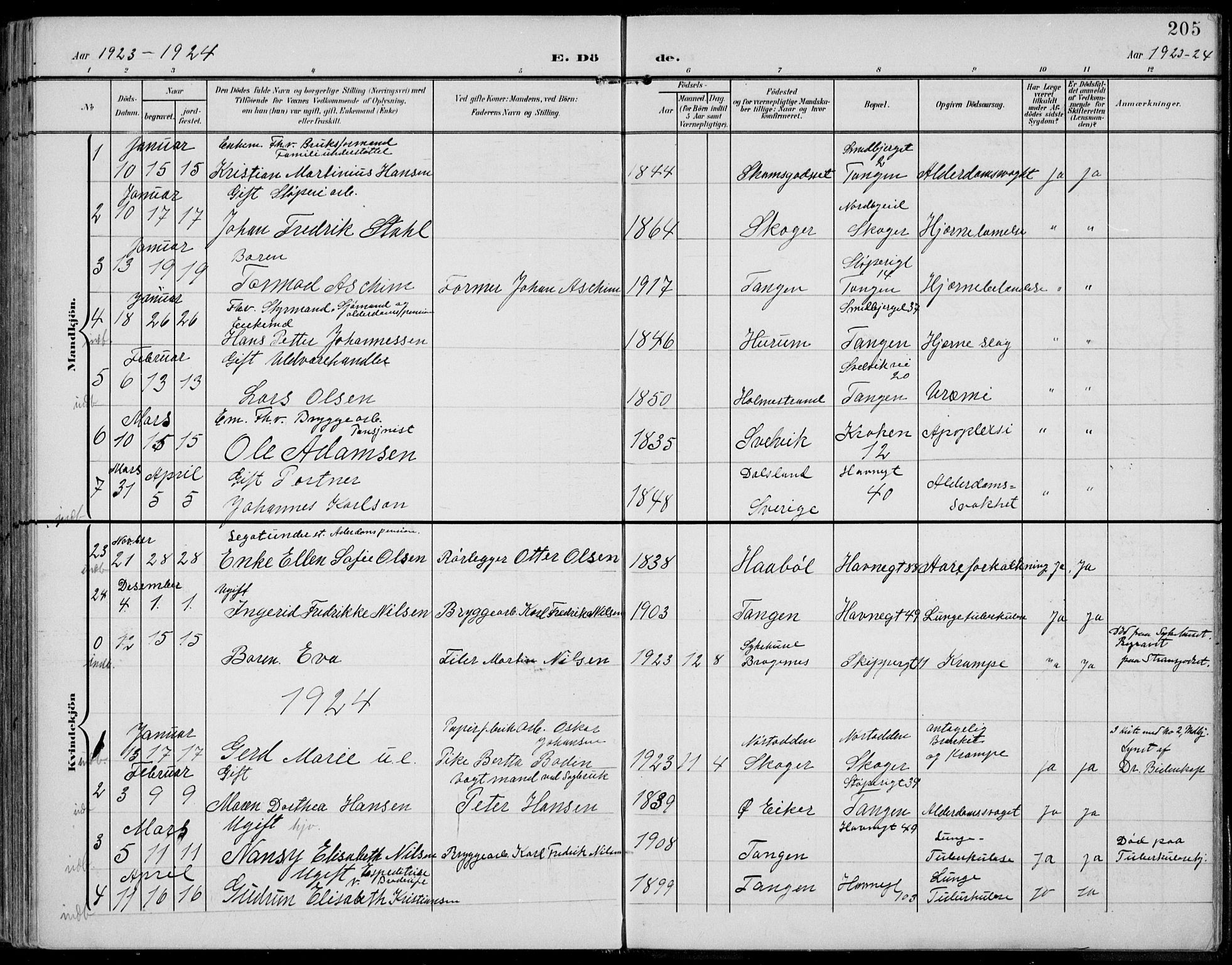 Strømsø kirkebøker, AV/SAKO-A-246/F/Fb/L0008: Parish register (official) no. II 8, 1902-1933, p. 205