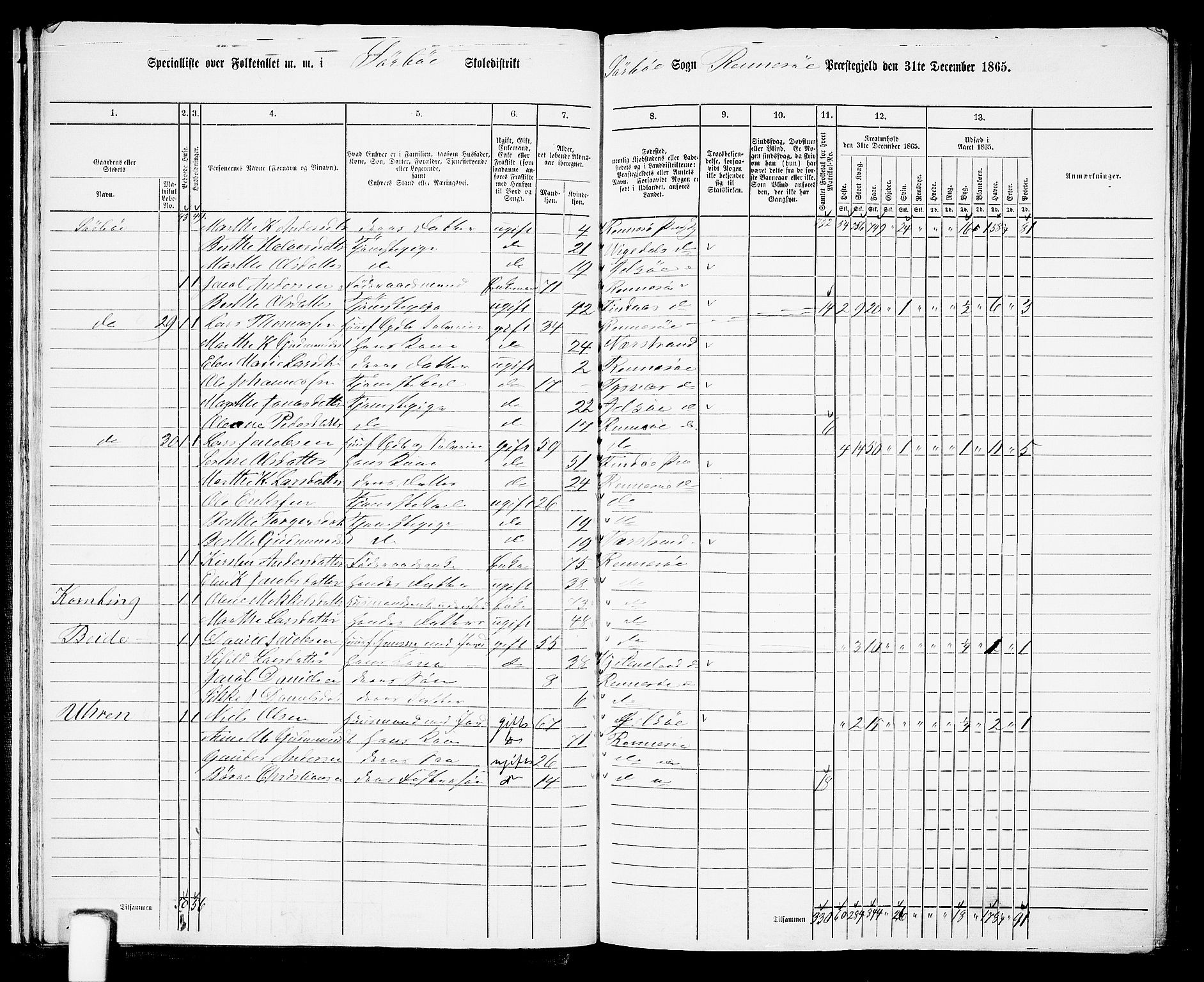 RA, 1865 census for Rennesøy, 1865, p. 20