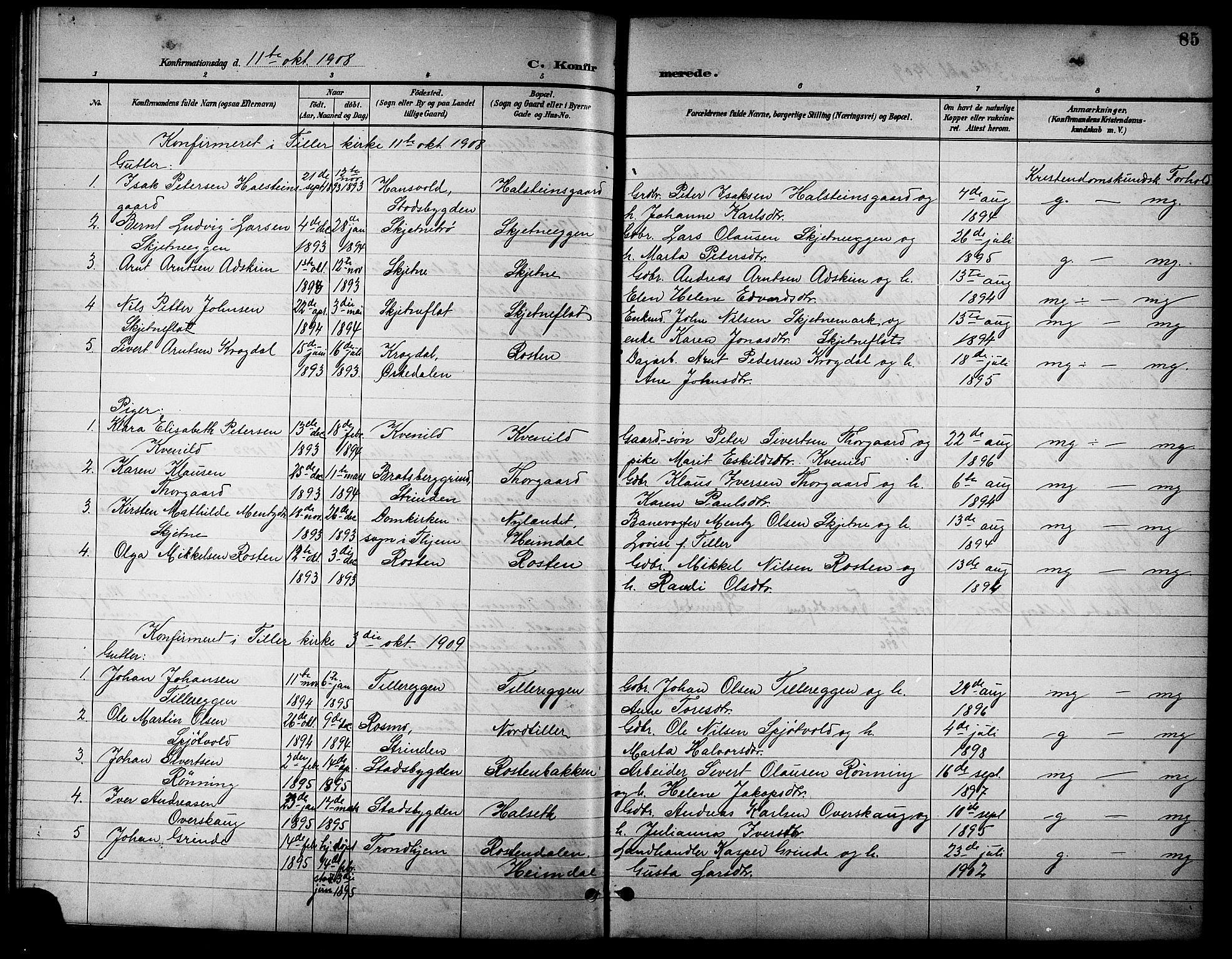 Ministerialprotokoller, klokkerbøker og fødselsregistre - Sør-Trøndelag, SAT/A-1456/621/L0460: Parish register (copy) no. 621C03, 1896-1914, p. 85