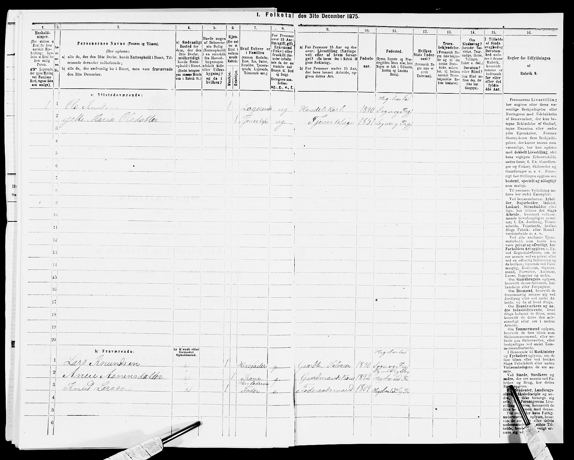 SAK, 1875 census for 1034P Hægebostad, 1875, p. 466