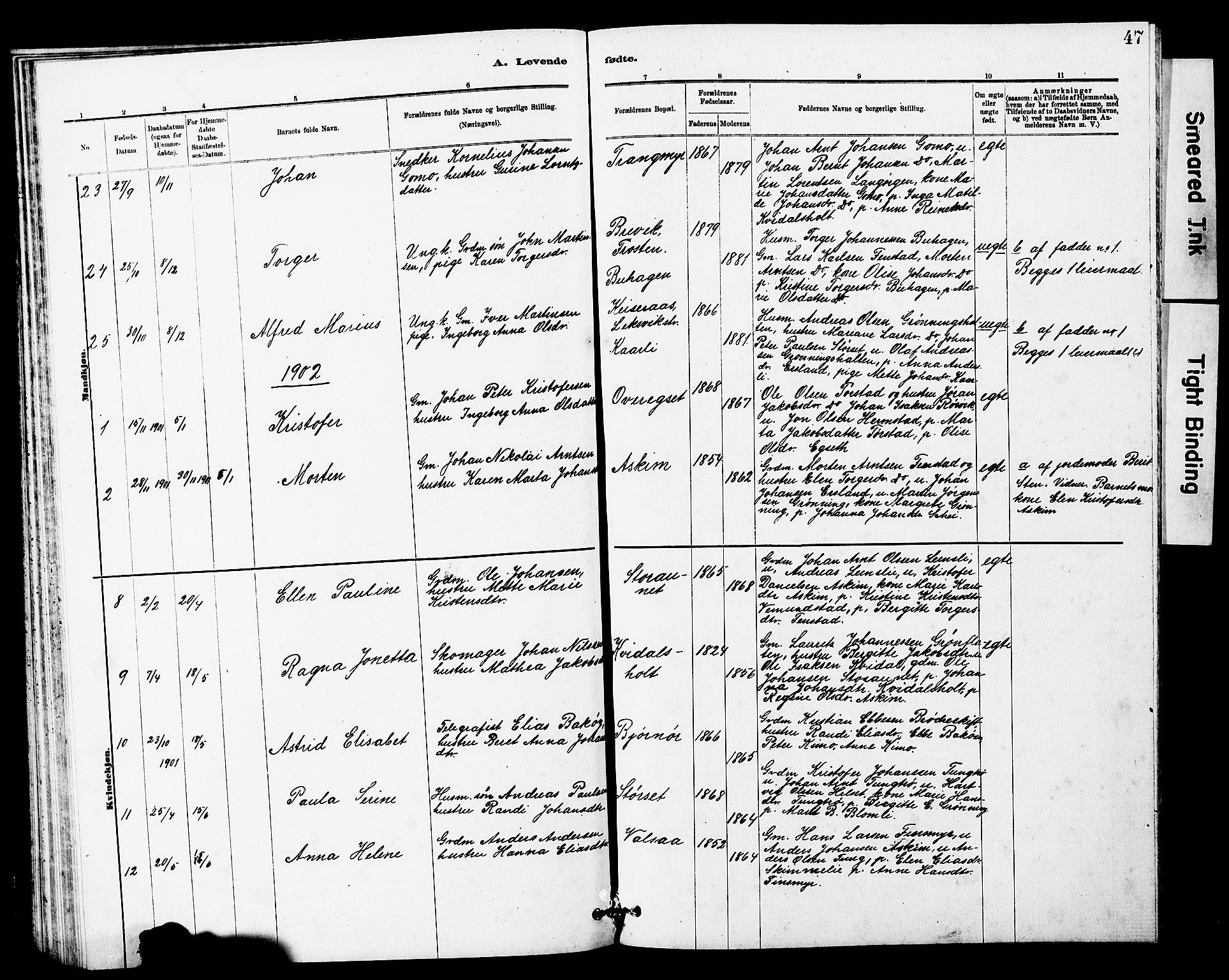 Ministerialprotokoller, klokkerbøker og fødselsregistre - Sør-Trøndelag, SAT/A-1456/646/L0628: Parish register (copy) no. 646C01, 1880-1903, p. 47