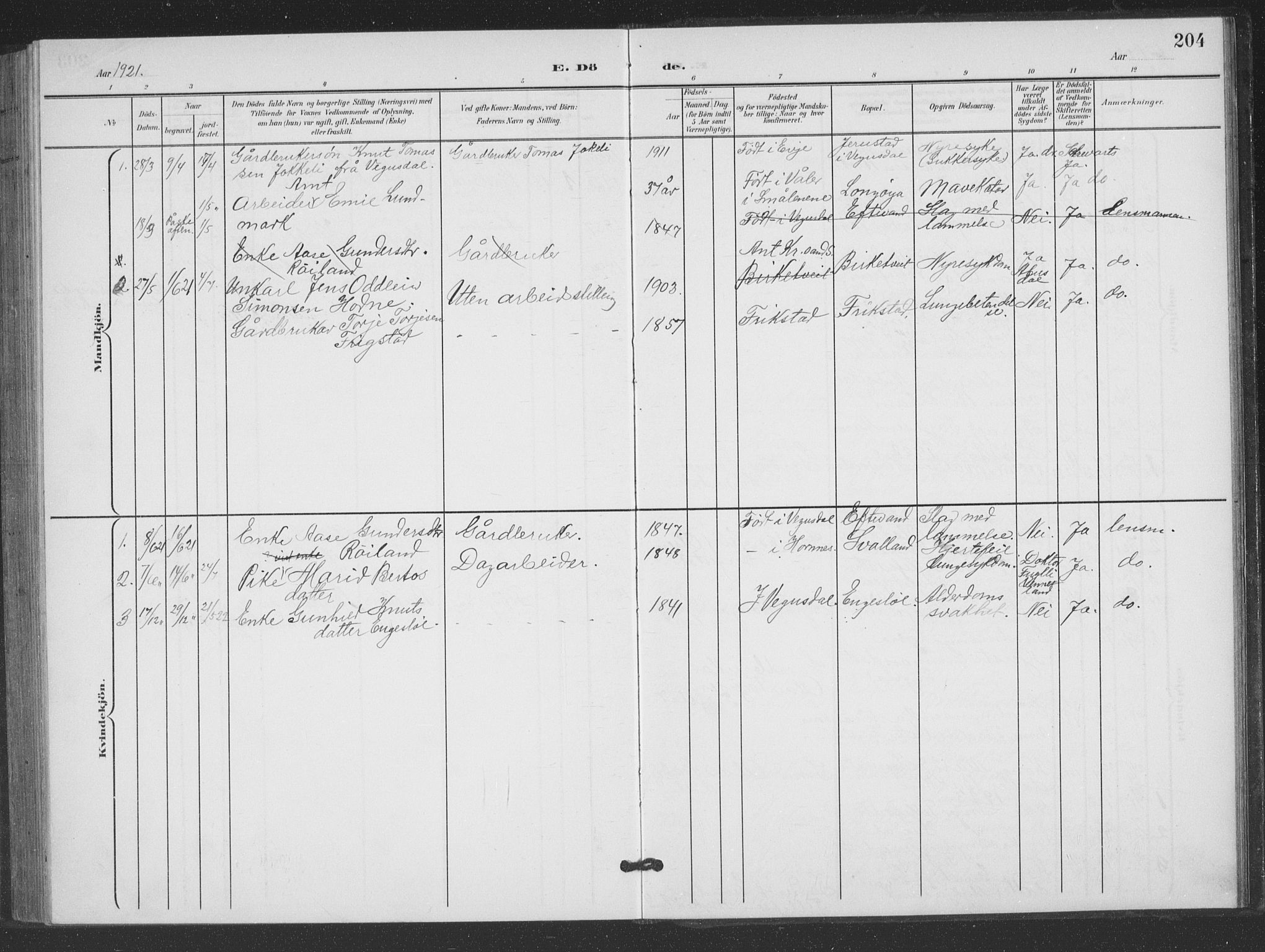 Evje sokneprestkontor, SAK/1111-0008/F/Fb/Fbc/L0005: Parish register (copy) no. B 5, 1901-1935, p. 204