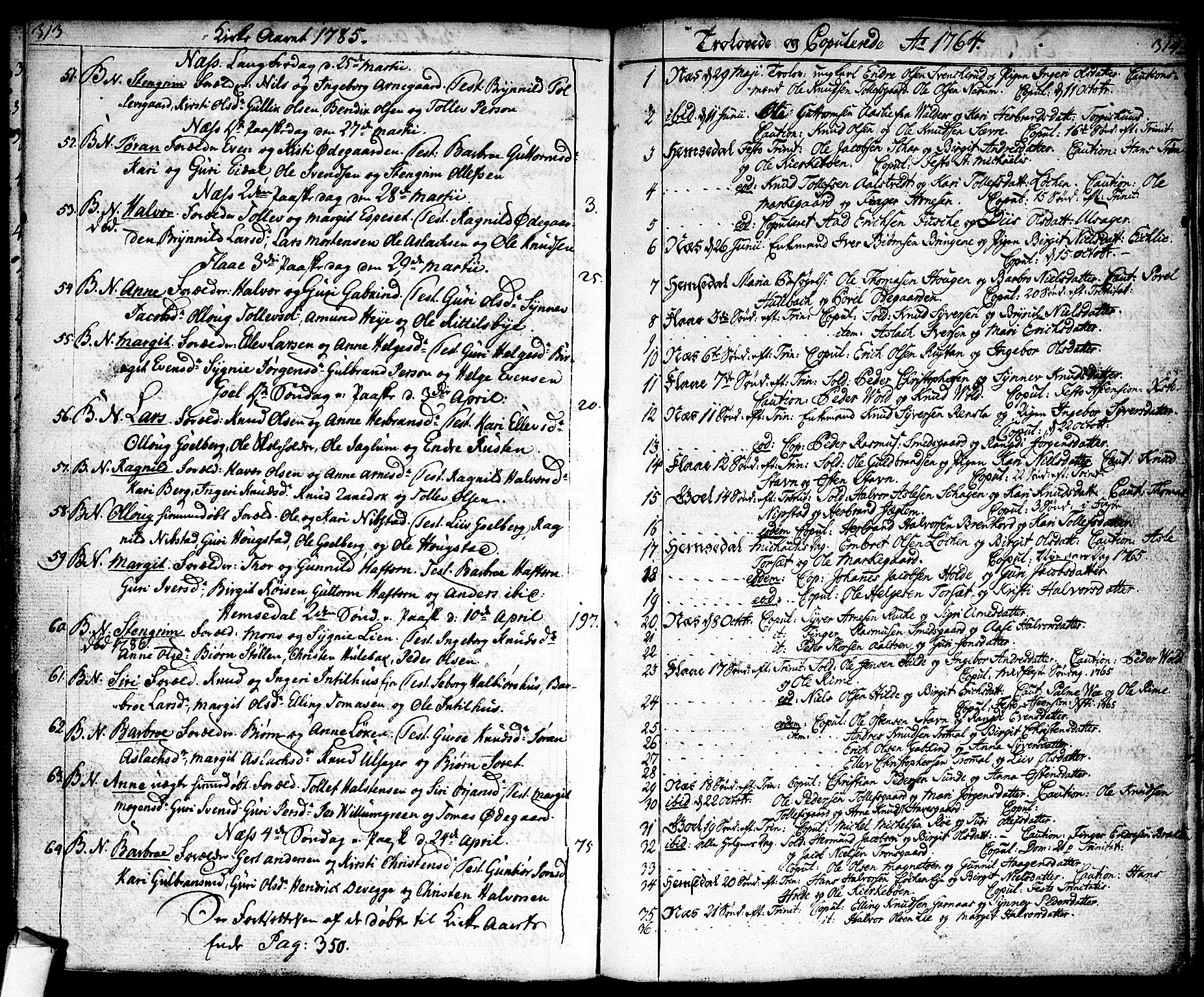 Nes kirkebøker, SAKO/A-236/F/Fa/L0004: Parish register (official) no. 4, 1764-1786, p. 313-314