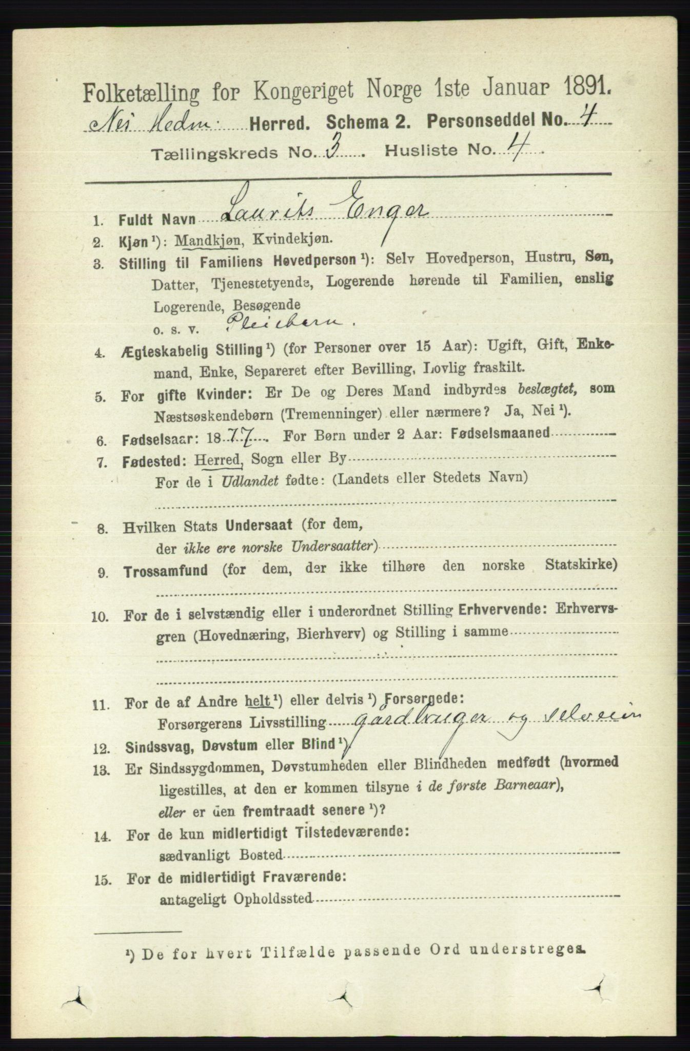 RA, 1891 census for 0411 Nes, 1891, p. 1615