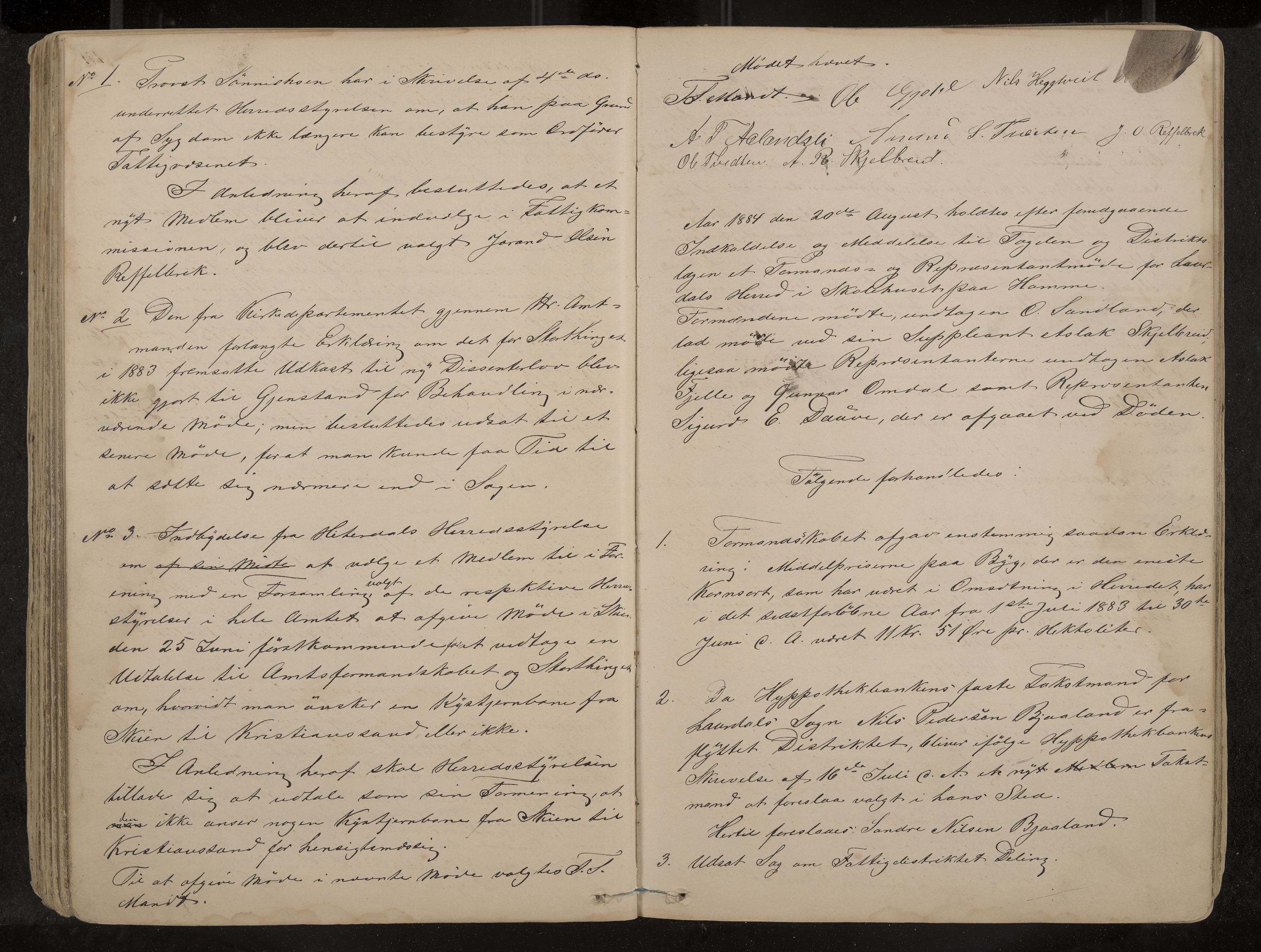 Lårdal formannskap og sentraladministrasjon, IKAK/0833021/A/L0002: Møtebok, 1865-1893, p. 171