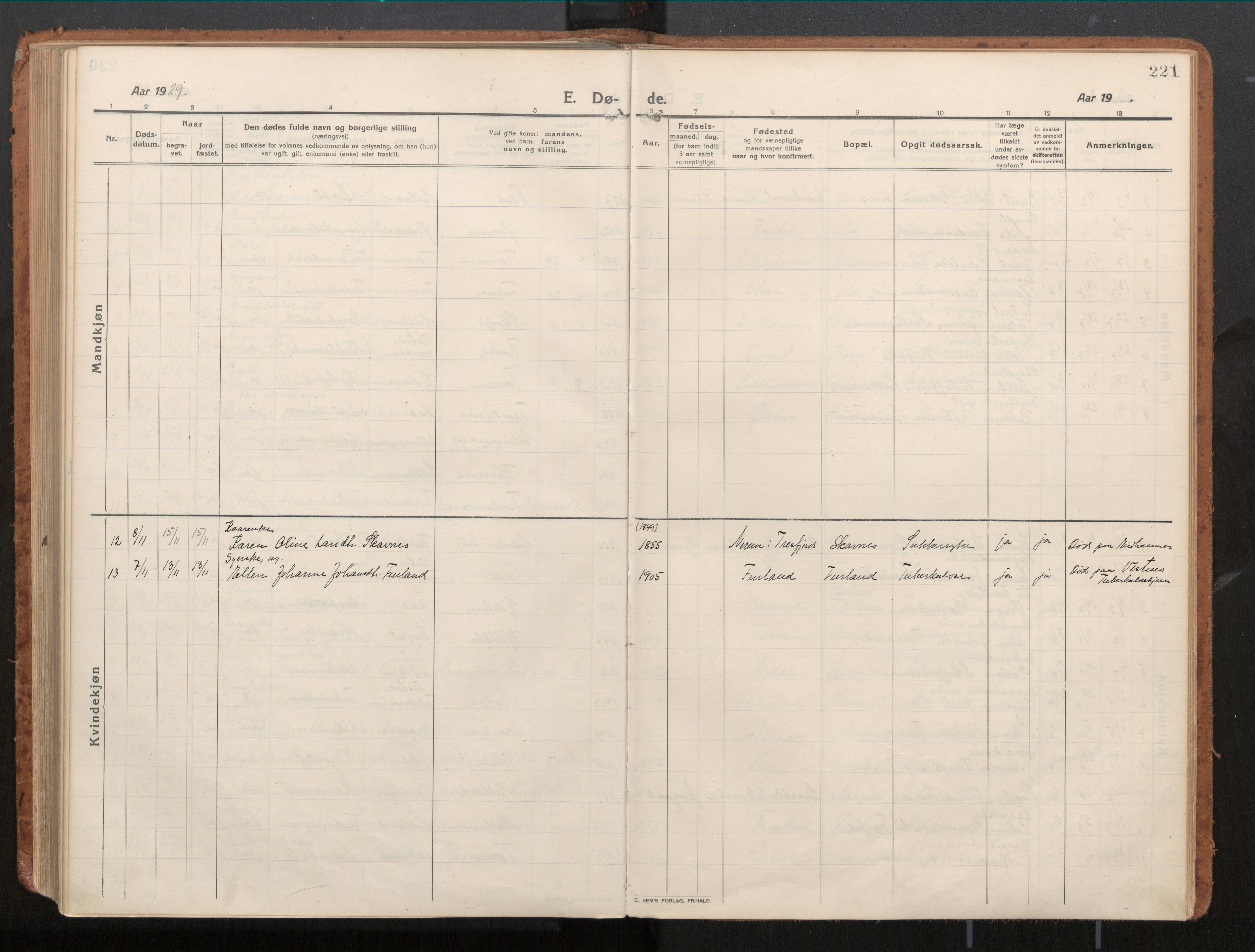 Ministerialprotokoller, klokkerbøker og fødselsregistre - Møre og Romsdal, AV/SAT-A-1454/539/L0534a: Parish register (official) no. 539A08, 1912-1935, p. 221