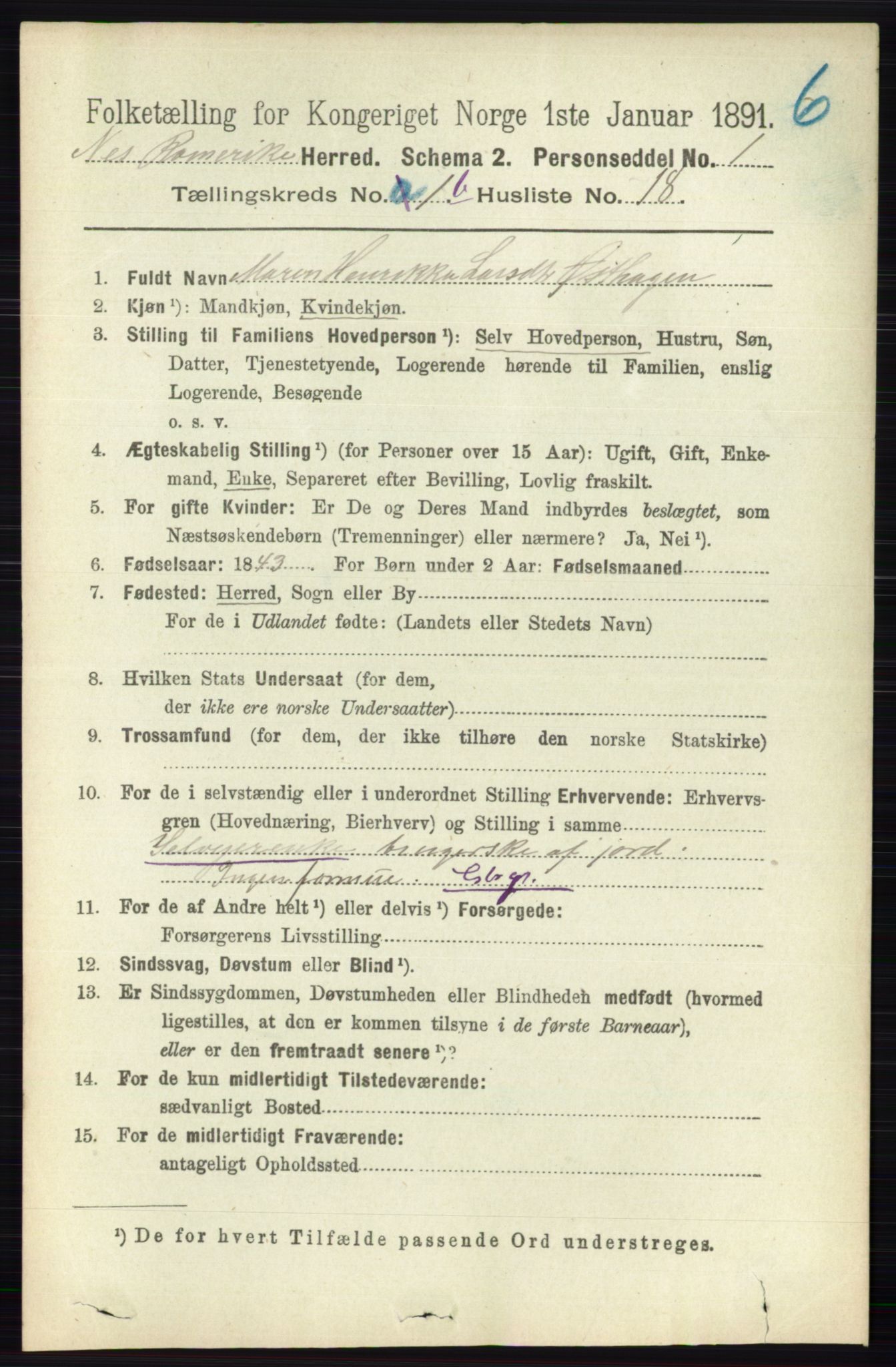 RA, 1891 census for 0236 Nes, 1891, p. 820