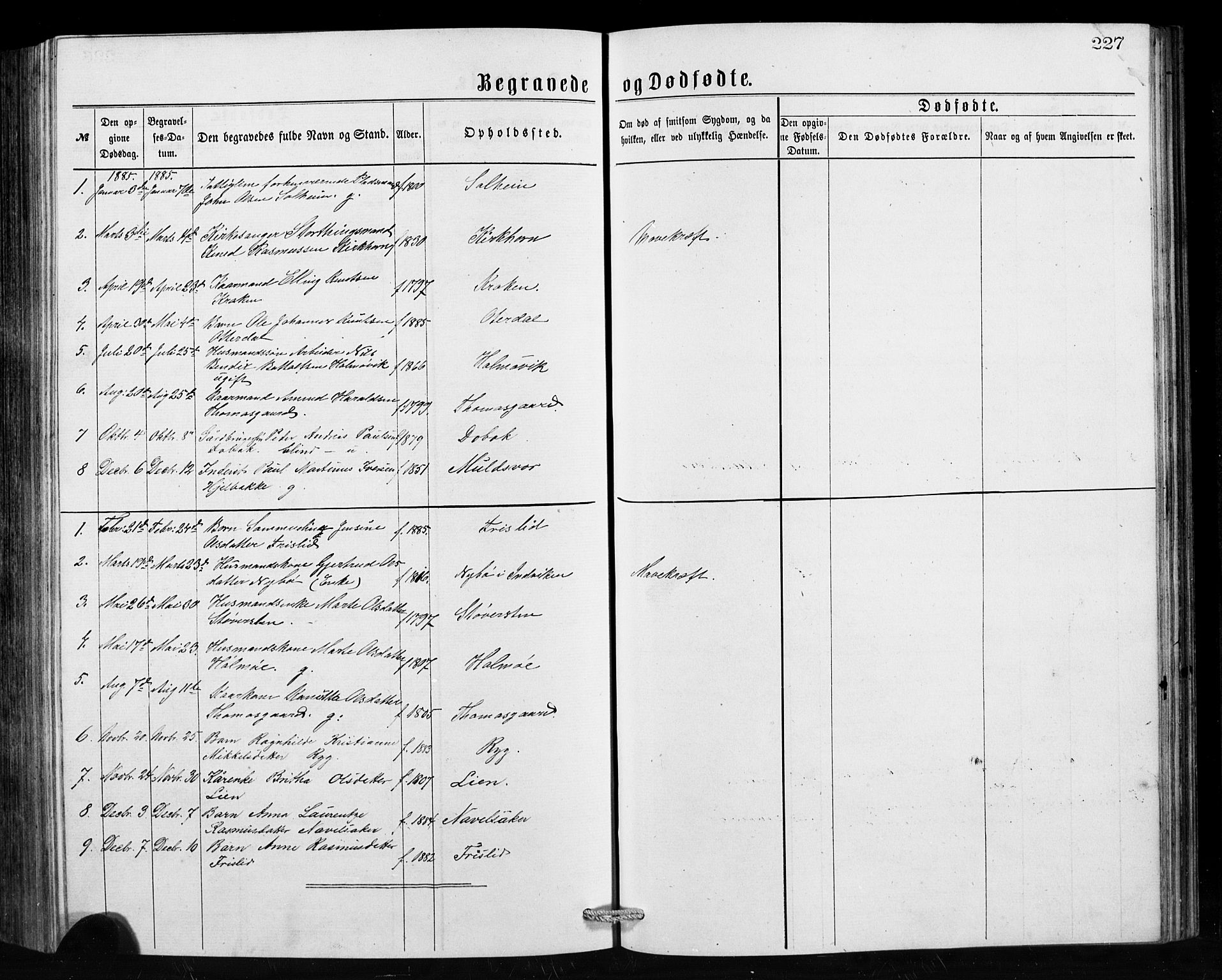 Hornindal sokneprestembete, SAB/A-82401/H/Hab: Parish register (copy) no. A 1, 1876-1894, p. 227