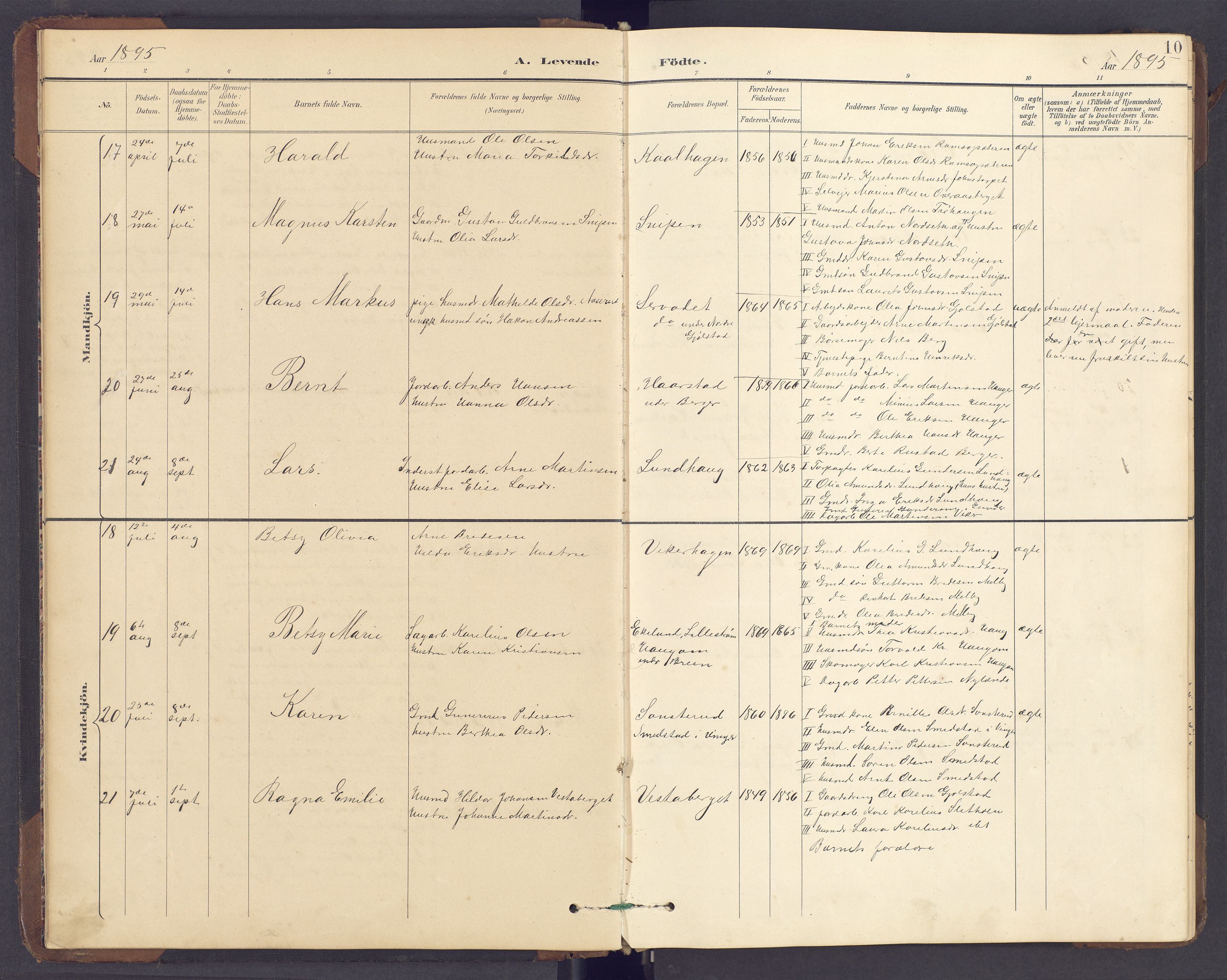 Brandval prestekontor, SAH/PREST-034/H/Ha/Hab/L0002: Parish register (copy) no. 2, 1895-1904, p. 10