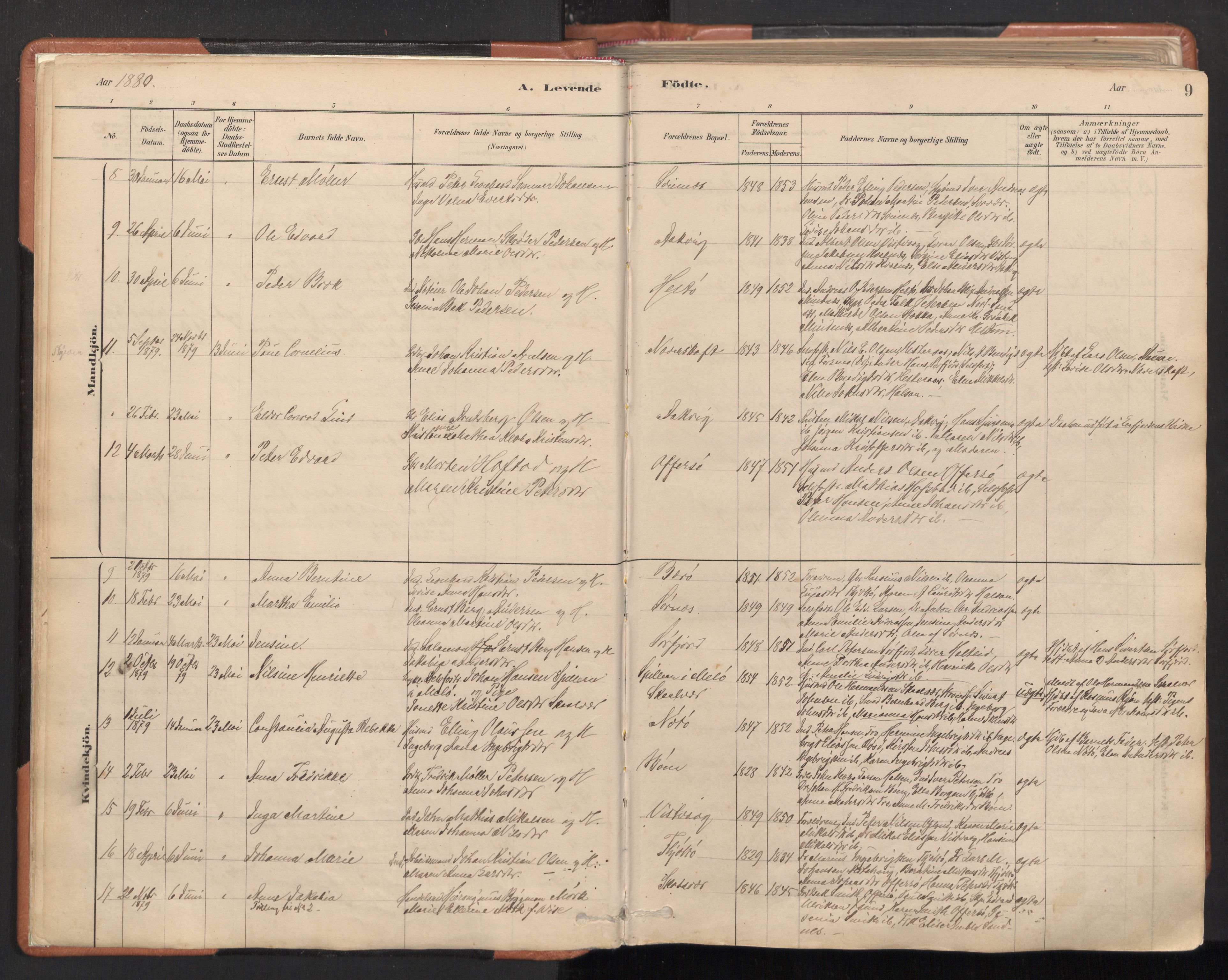 Ministerialprotokoller, klokkerbøker og fødselsregistre - Nordland, AV/SAT-A-1459/817/L0264: Parish register (official) no. 817A04, 1878-1907, p. 9