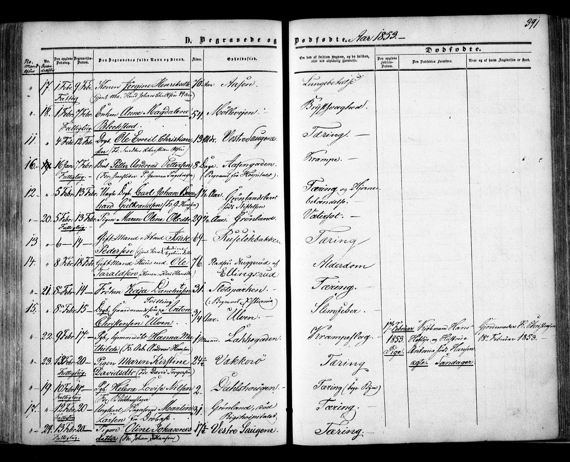 Aker prestekontor kirkebøker, AV/SAO-A-10861/F/L0020: Parish register (official) no. 20, 1853-1857, p. 391