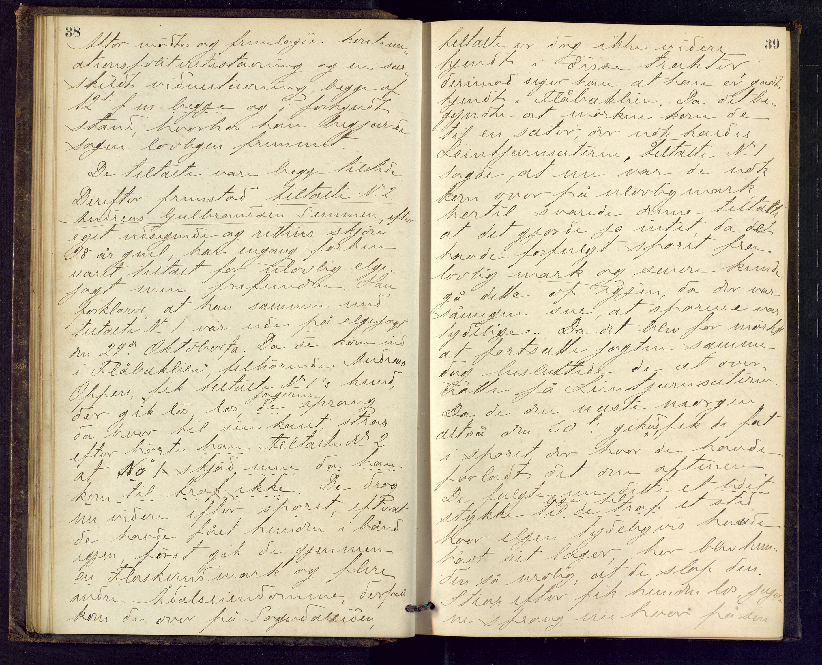 Ringerike sorenskriveri, AV/SAKO-A-105/F/Fc/Fca/L0017: Ekstrarettsprotokoll, 1880-1882, p. 38-39