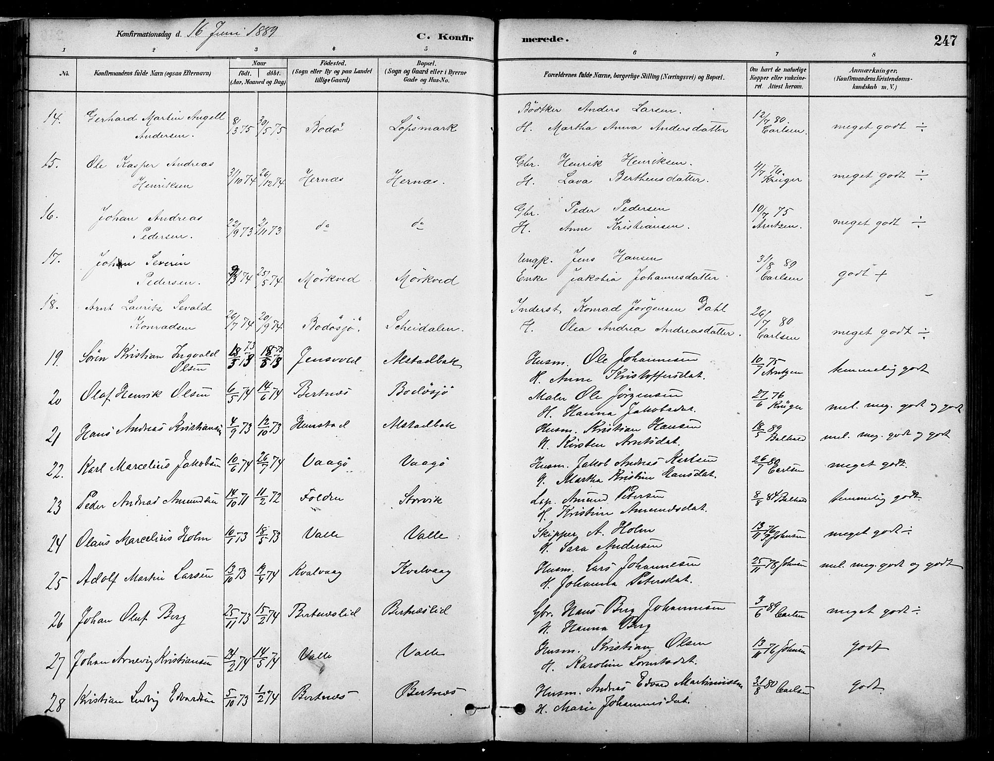 Ministerialprotokoller, klokkerbøker og fødselsregistre - Nordland, SAT/A-1459/802/L0054: Parish register (official) no. 802A01, 1879-1893, p. 247