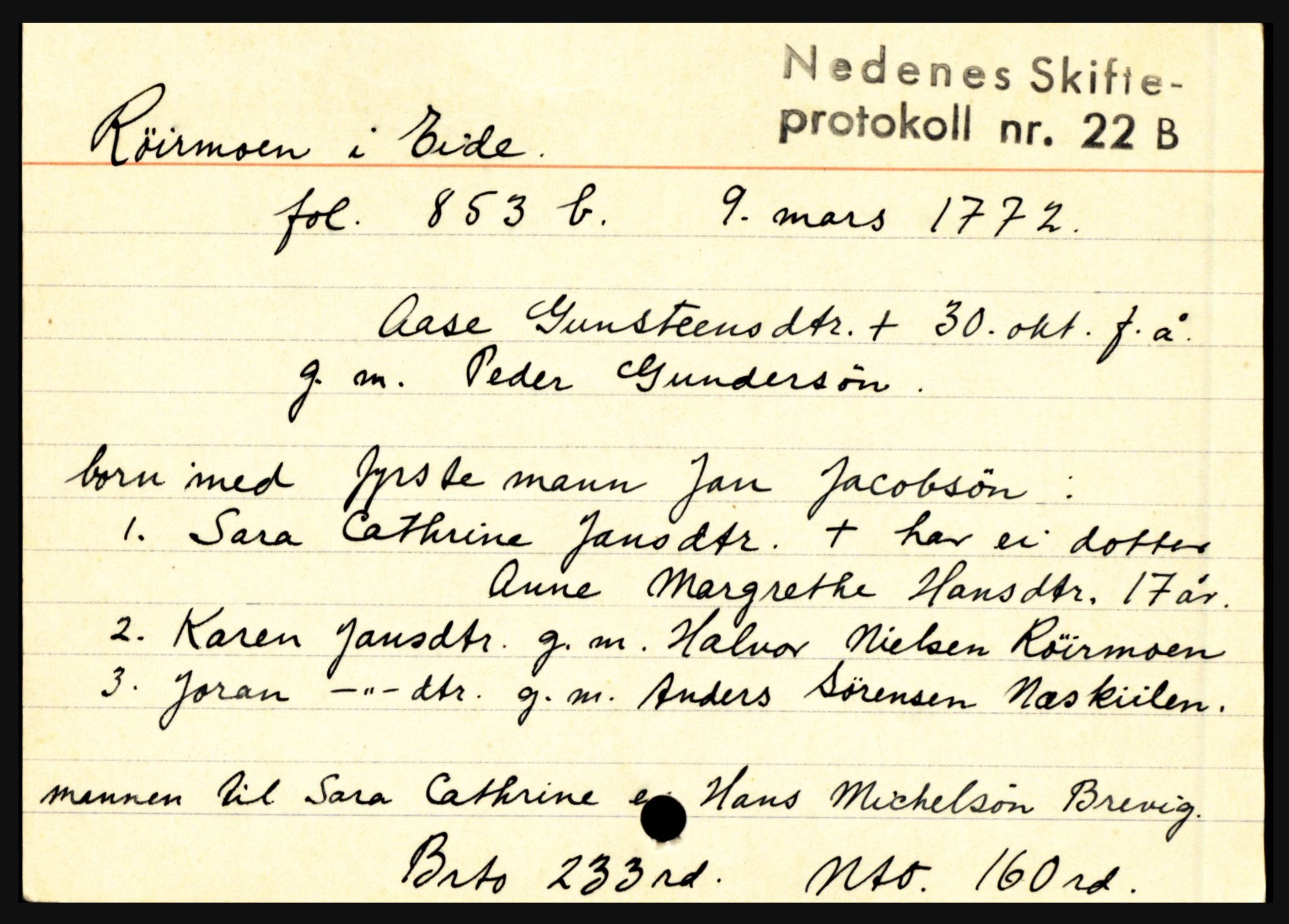 Nedenes sorenskriveri før 1824, AV/SAK-1221-0007/H, p. 24913