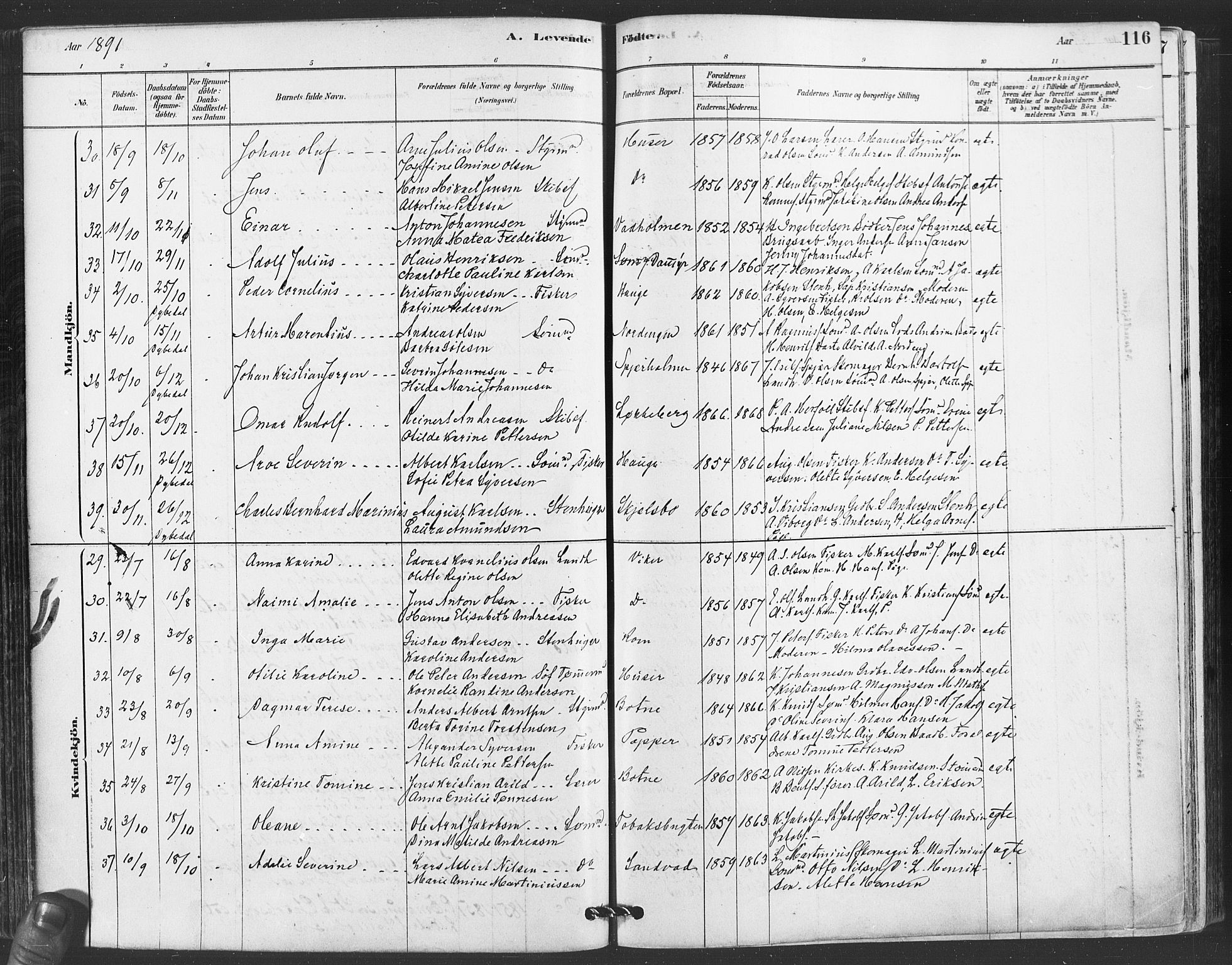 Hvaler prestekontor Kirkebøker, AV/SAO-A-2001/F/Fa/L0008: Parish register (official) no. I 8, 1878-1895, p. 116