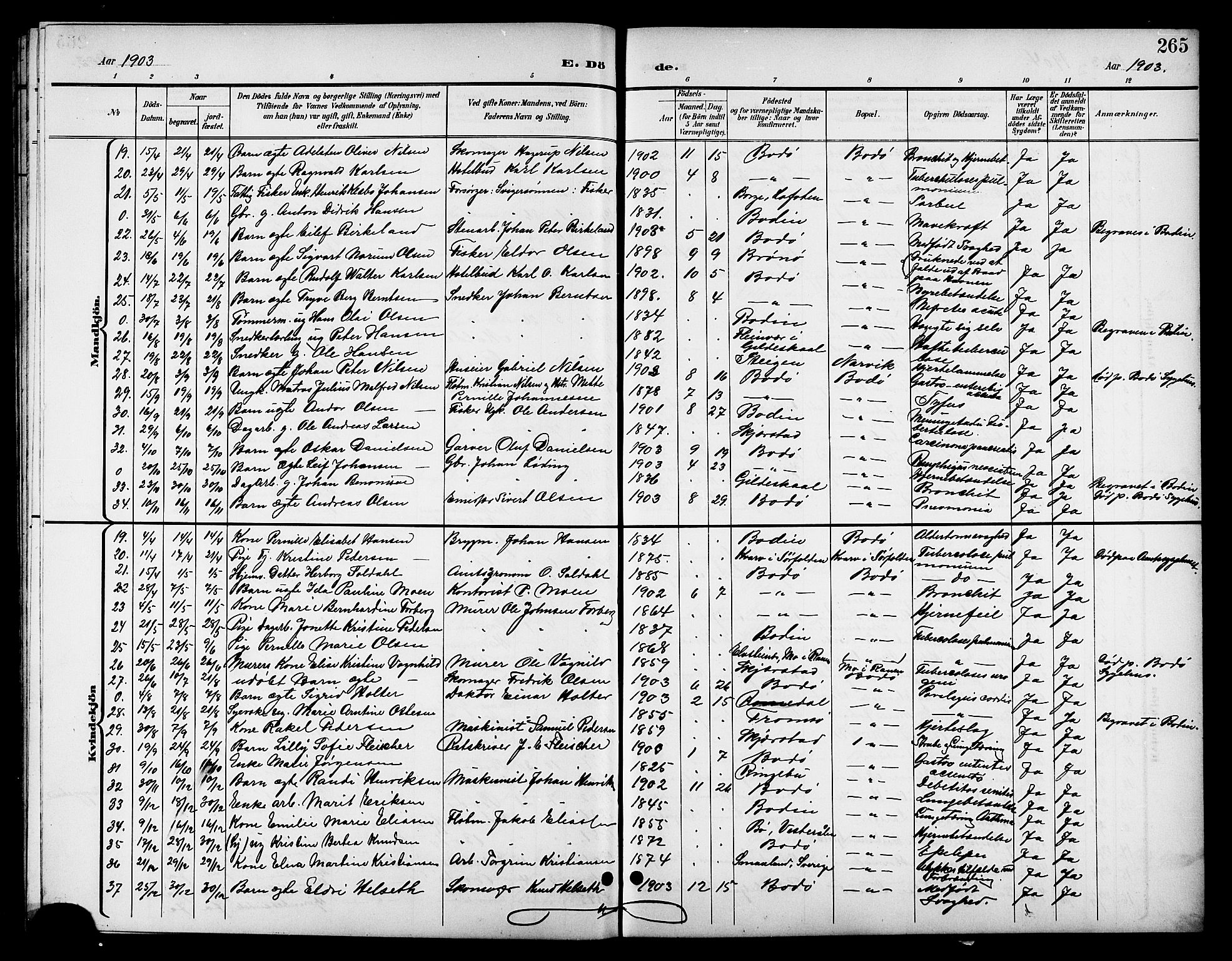 Ministerialprotokoller, klokkerbøker og fødselsregistre - Nordland, SAT/A-1459/801/L0033: Parish register (copy) no. 801C08, 1898-1910, p. 265