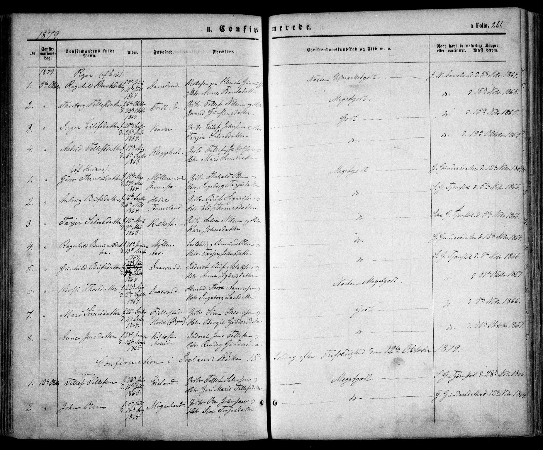 Evje sokneprestkontor, AV/SAK-1111-0008/F/Fa/Faa/L0006: Parish register (official) no. A 6, 1866-1884, p. 261