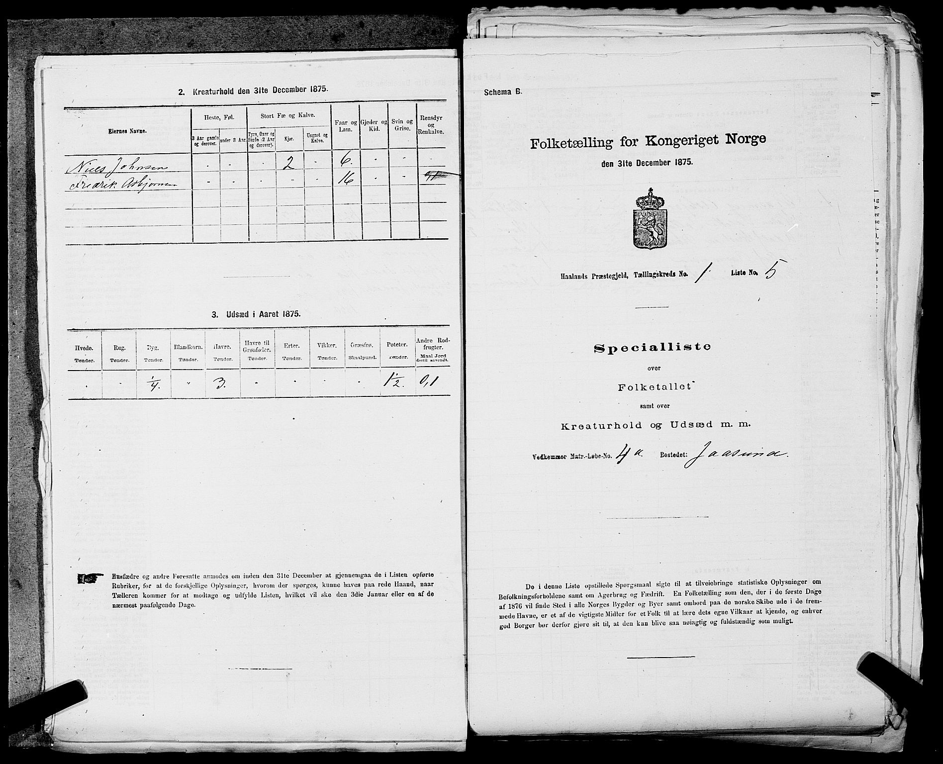 SAST, 1875 census for 1124P Håland, 1875, p. 61