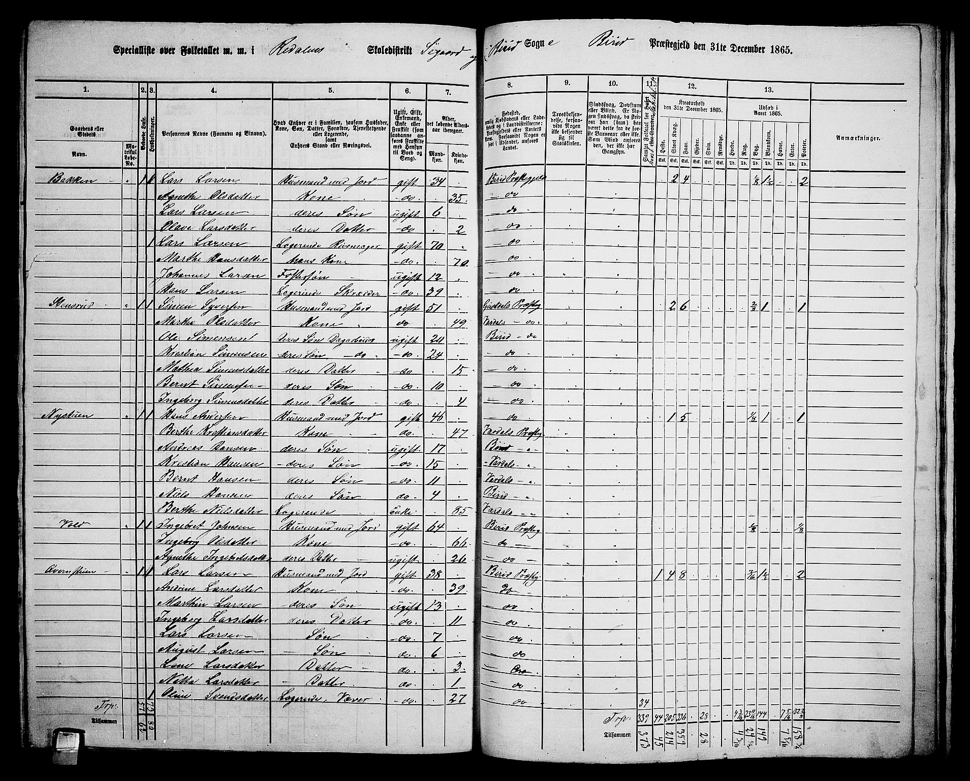 RA, 1865 census for Biri, 1865, p. 196