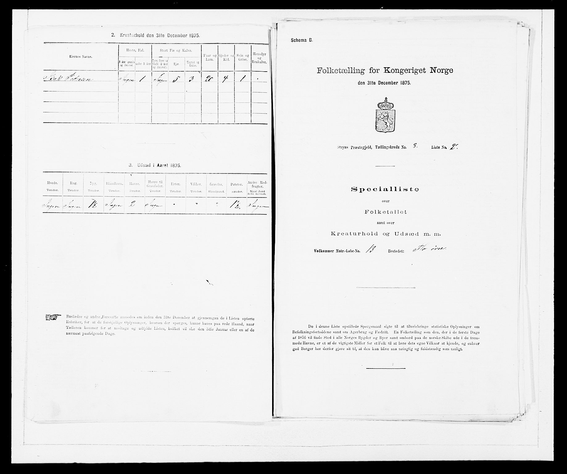 SAB, 1875 Census for 1448P Stryn, 1875, p. 523