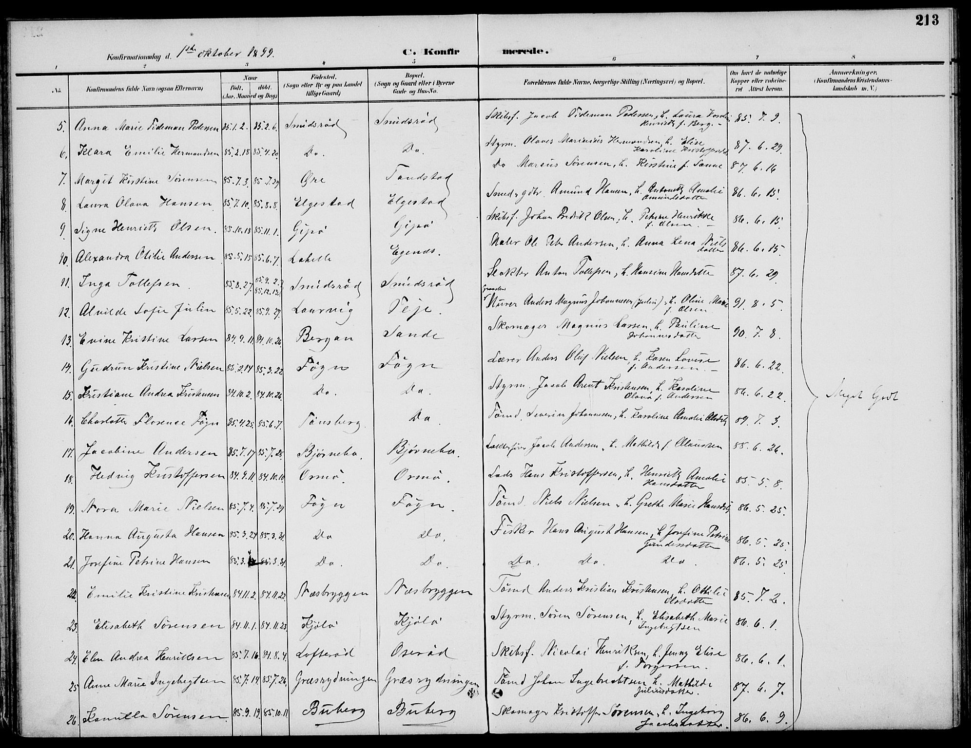 Nøtterøy kirkebøker, AV/SAKO-A-354/F/Fa/L0009: Parish register (official) no. I 9, 1894-1907, p. 213