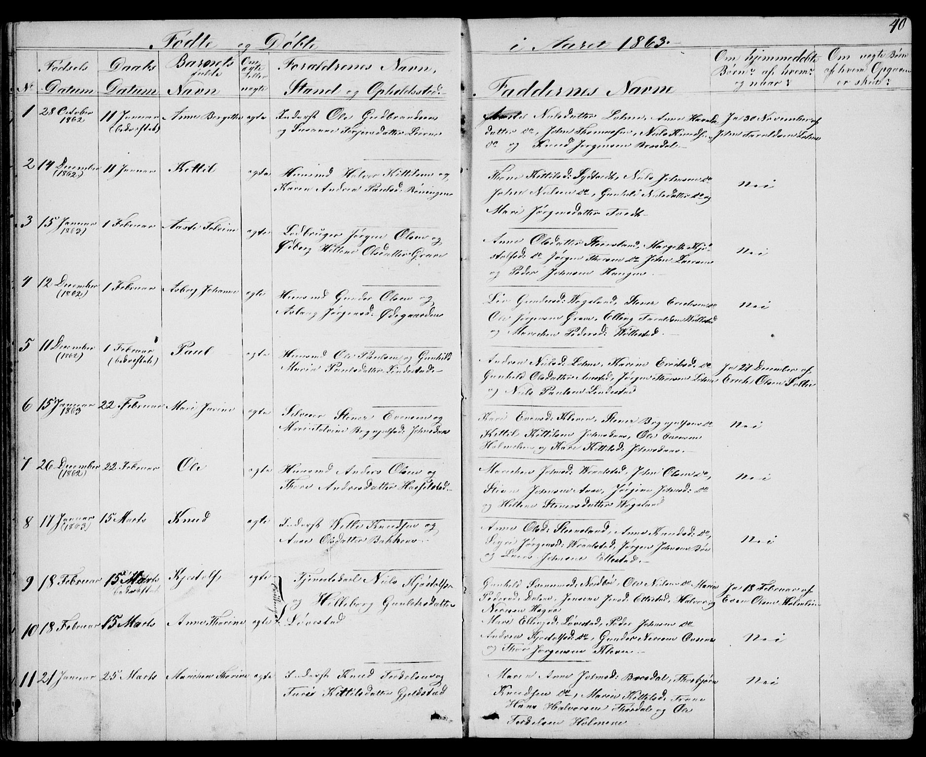 Drangedal kirkebøker, SAKO/A-258/G/Gb/L0001: Parish register (copy) no. II 1, 1856-1894, p. 40
