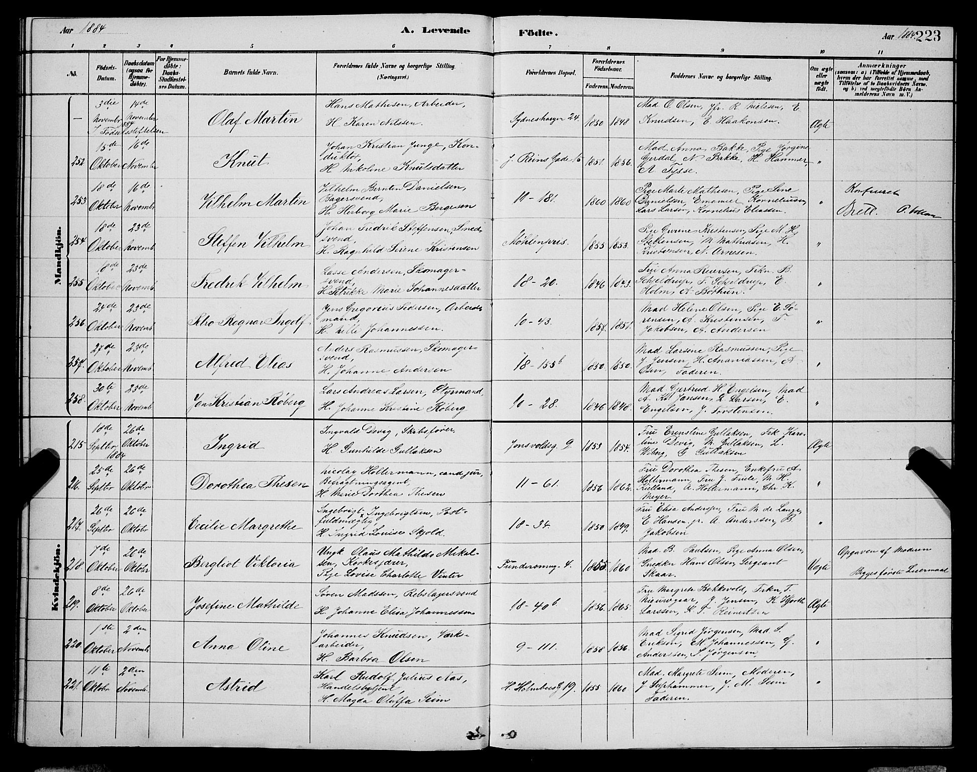 Domkirken sokneprestembete, AV/SAB-A-74801/H/Hab/L0015: Parish register (copy) no. B 8, 1879-1887, p. 223
