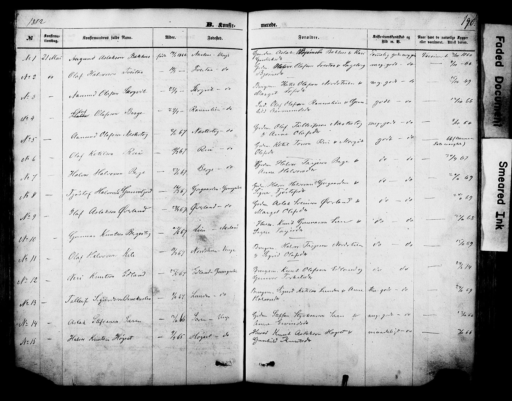 Vinje kirkebøker, SAKO/A-312/F/Fa/L0005: Parish register (official) no. I 5, 1870-1886, p. 190