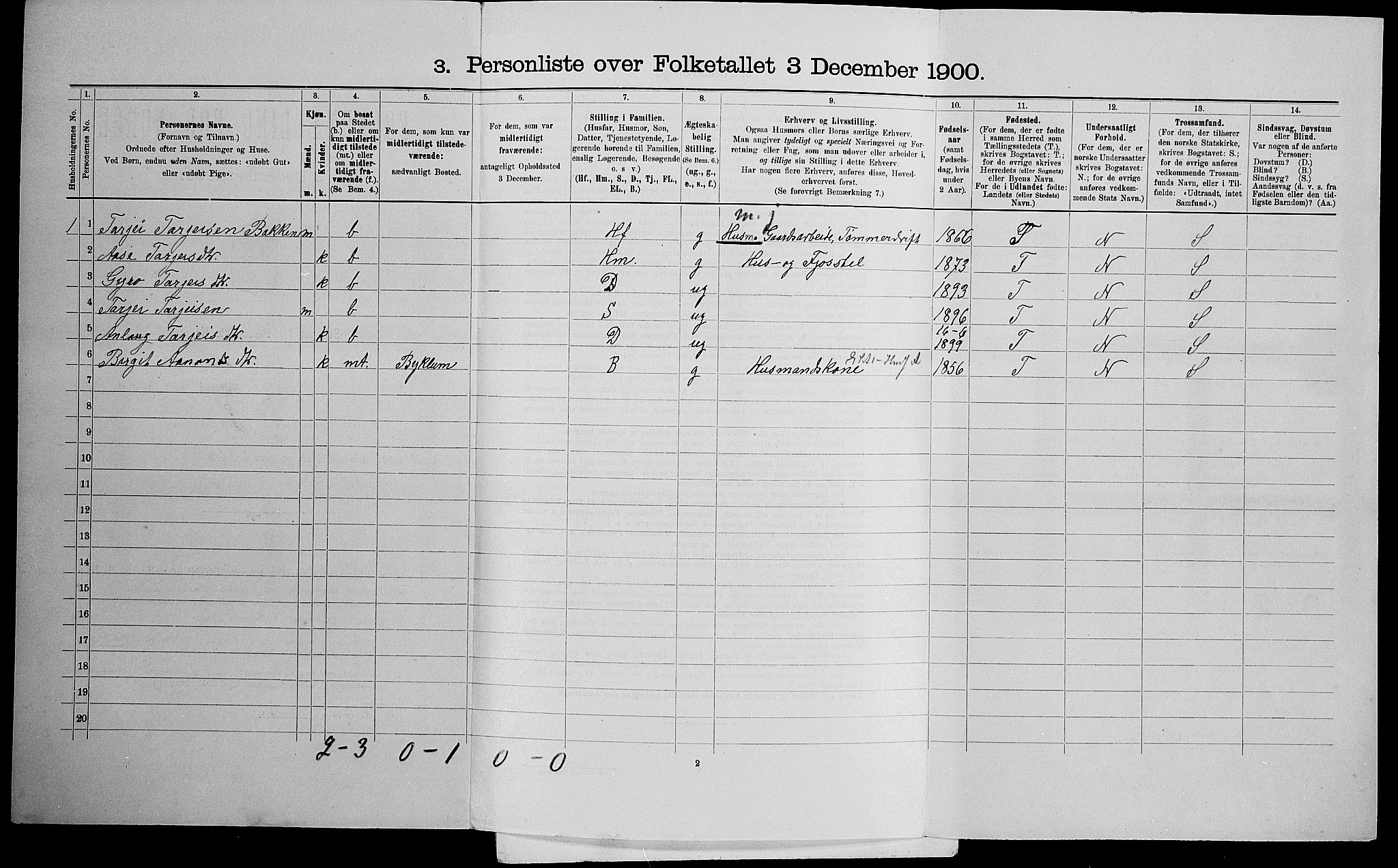 SAK, 1900 census for Valle, 1900, p. 272
