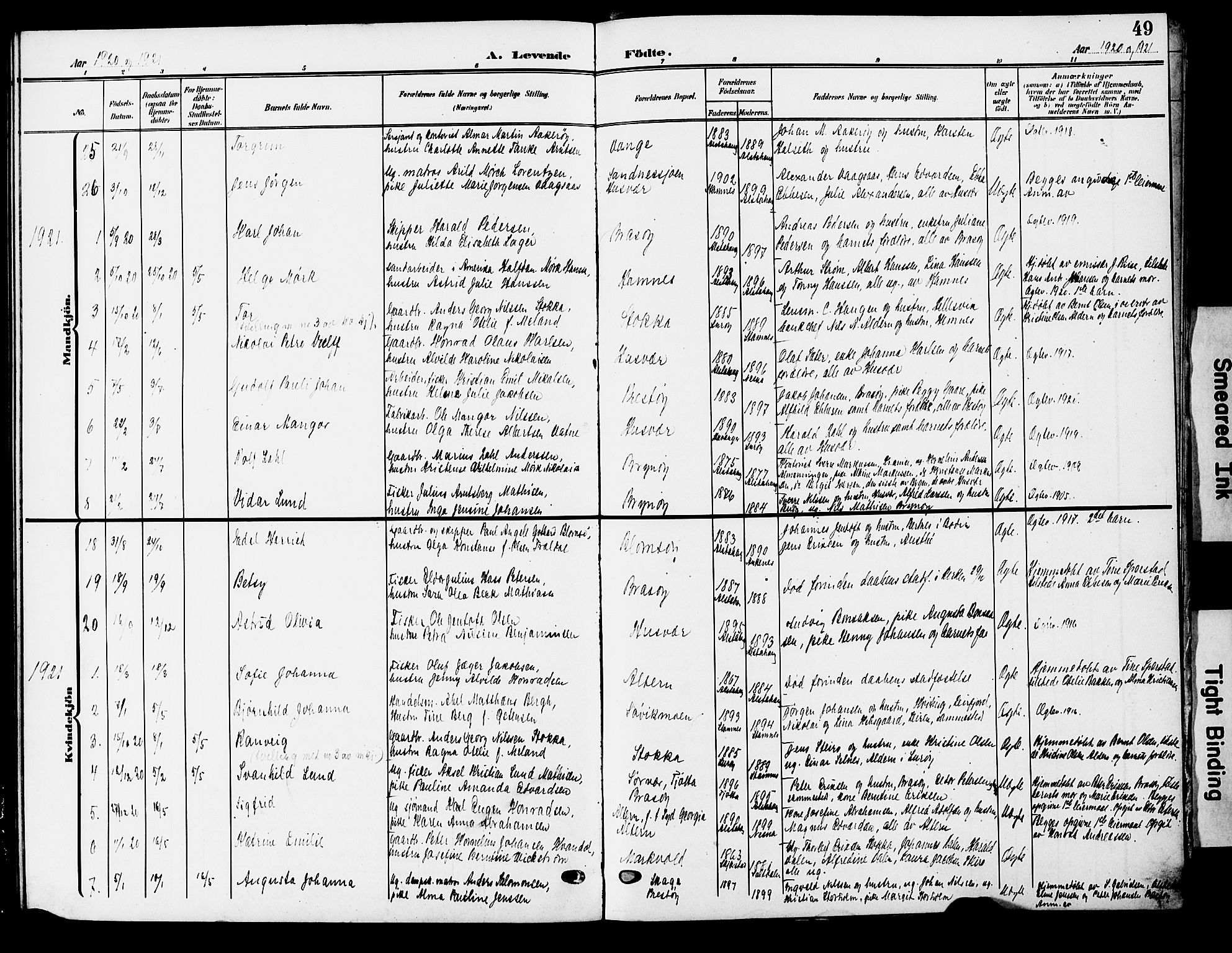 Ministerialprotokoller, klokkerbøker og fødselsregistre - Nordland, AV/SAT-A-1459/830/L0464: Parish register (copy) no. 830C06, 1906-1925, p. 49