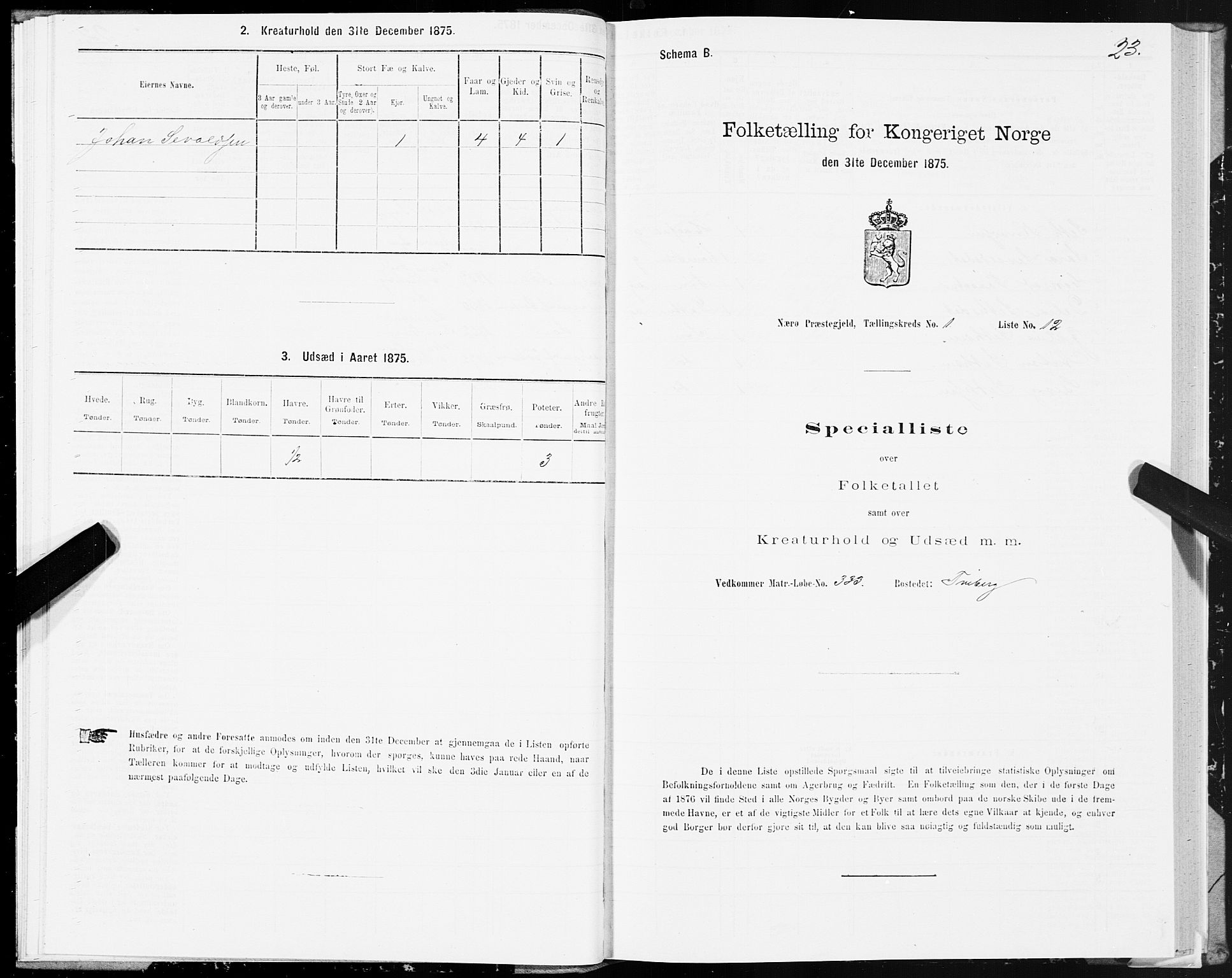 SAT, 1875 census for 1751P Nærøy, 1875, p. 1023