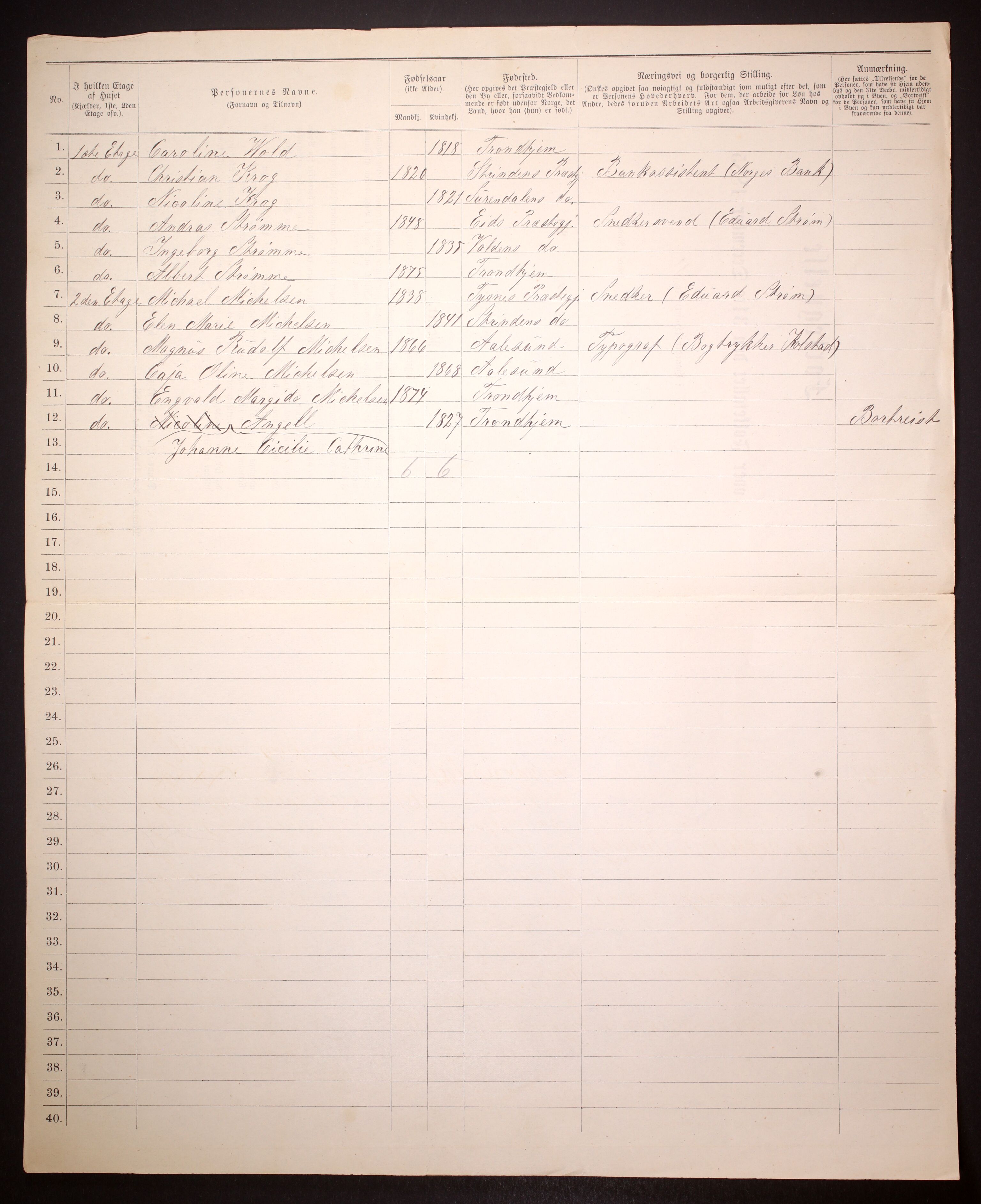 SAT, 1885 census for 1601 Trondheim, 1885, p. 133