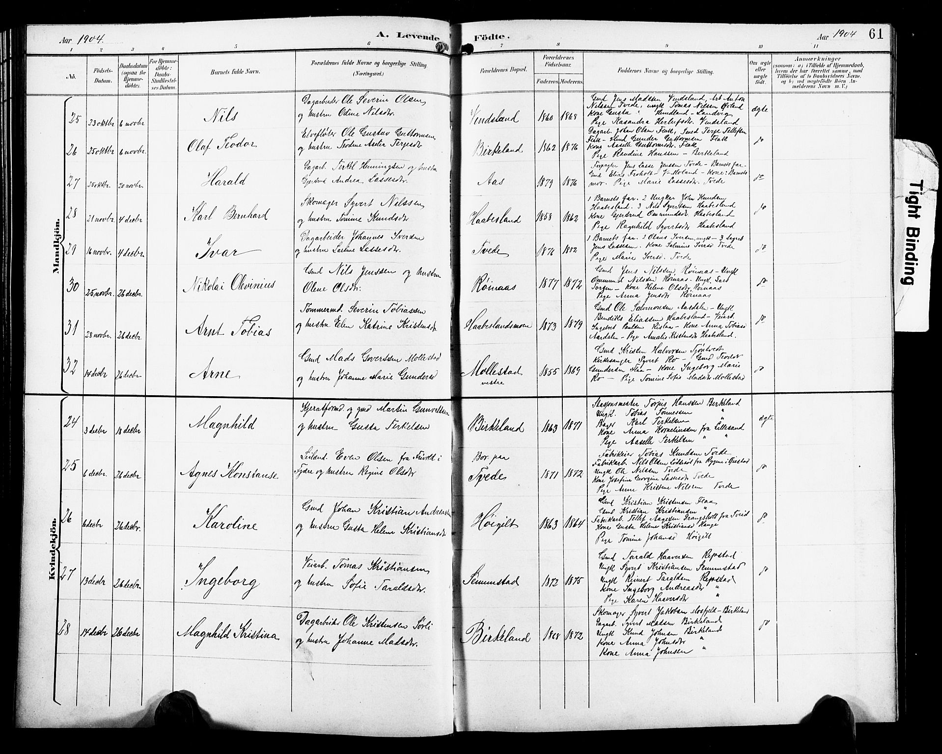 Birkenes sokneprestkontor, SAK/1111-0004/F/Fb/L0004: Parish register (copy) no. B 4, 1893-1930, p. 61
